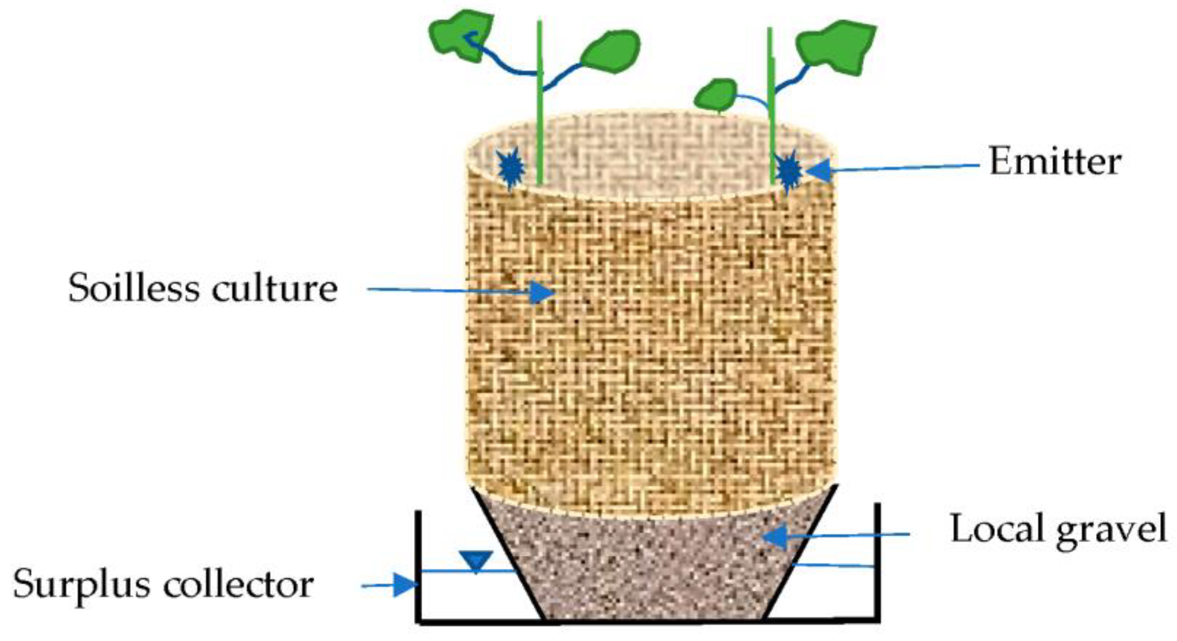 Water 16 00987 g001 Water 16 00987 g001