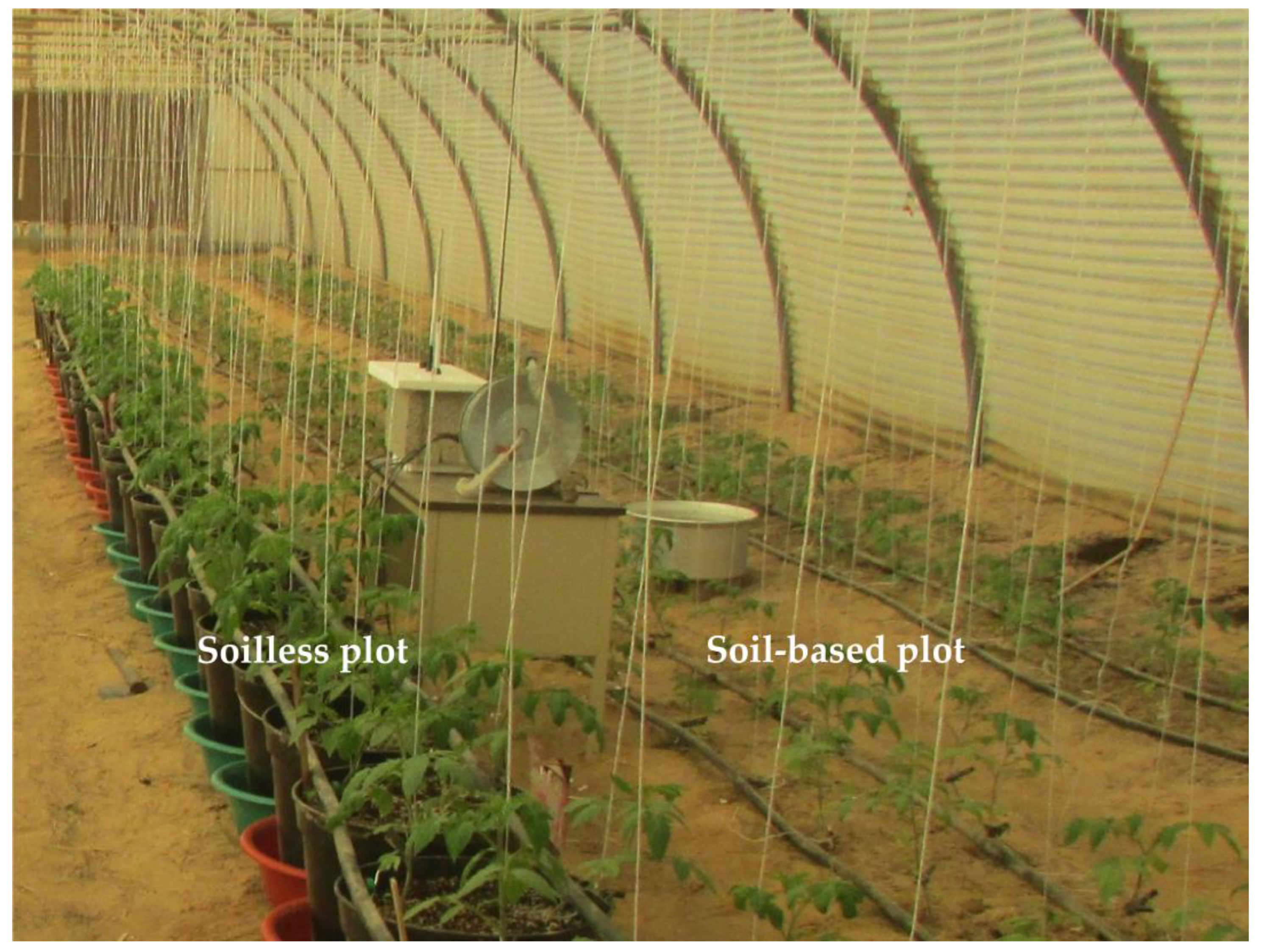 Water 16 00987 g002 Water 16 00987 g002