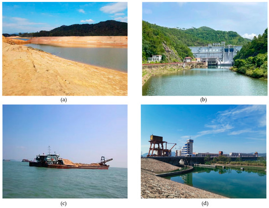 Sustaining the Pearl River: A Critical Review of Changes in