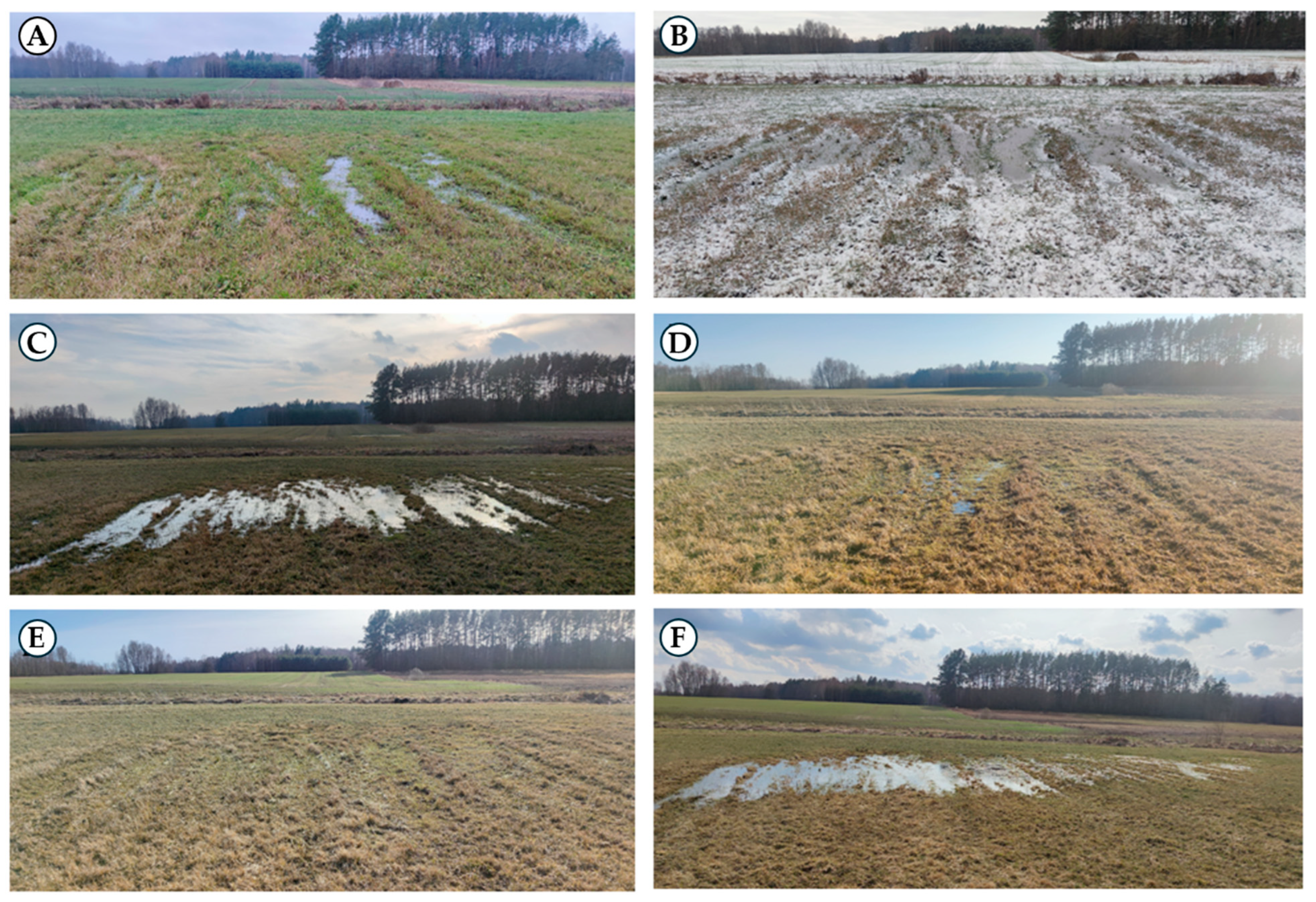 Water 16 01068 g001a