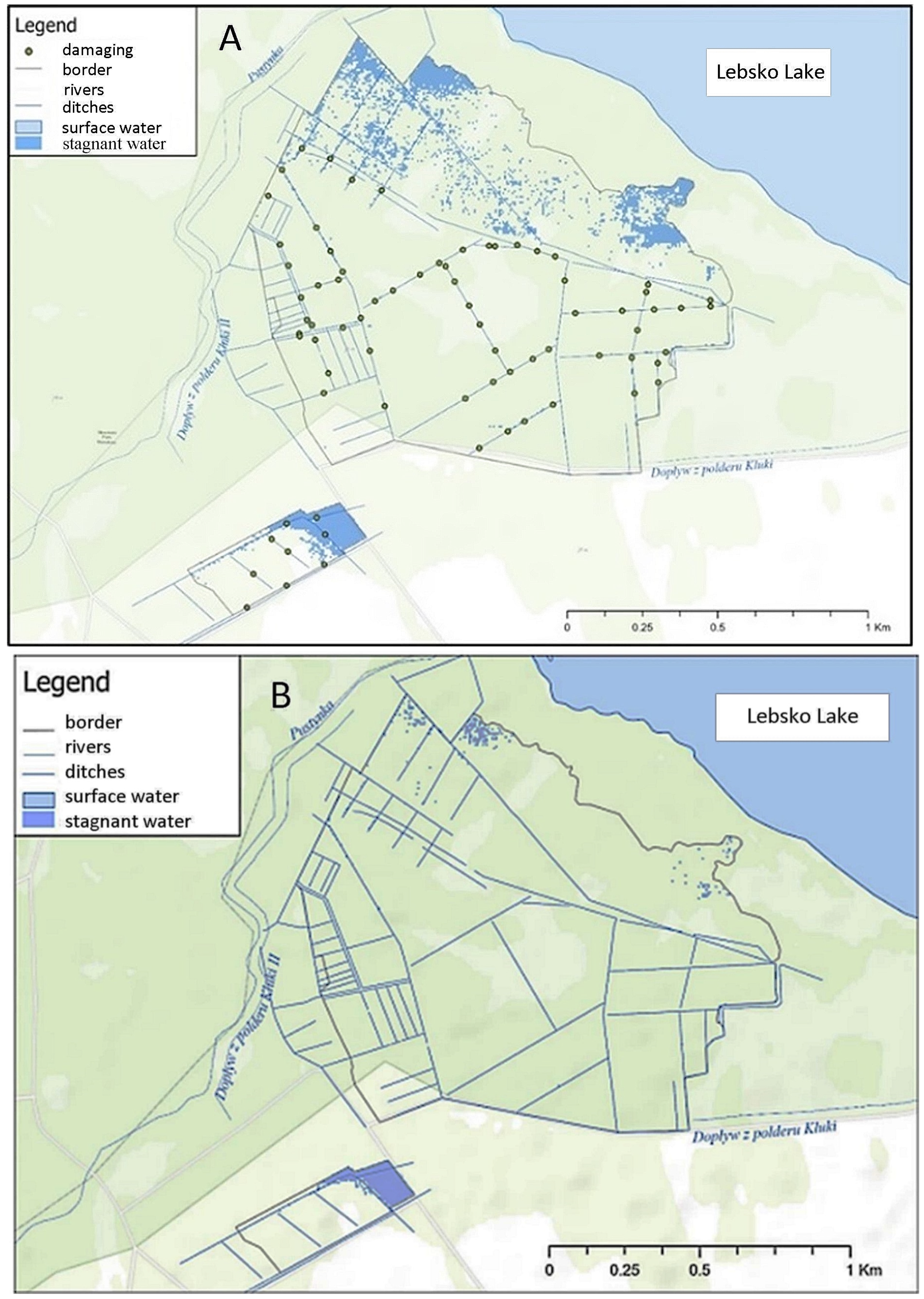 Water 16 01069 g010 Water 16 01069 g010