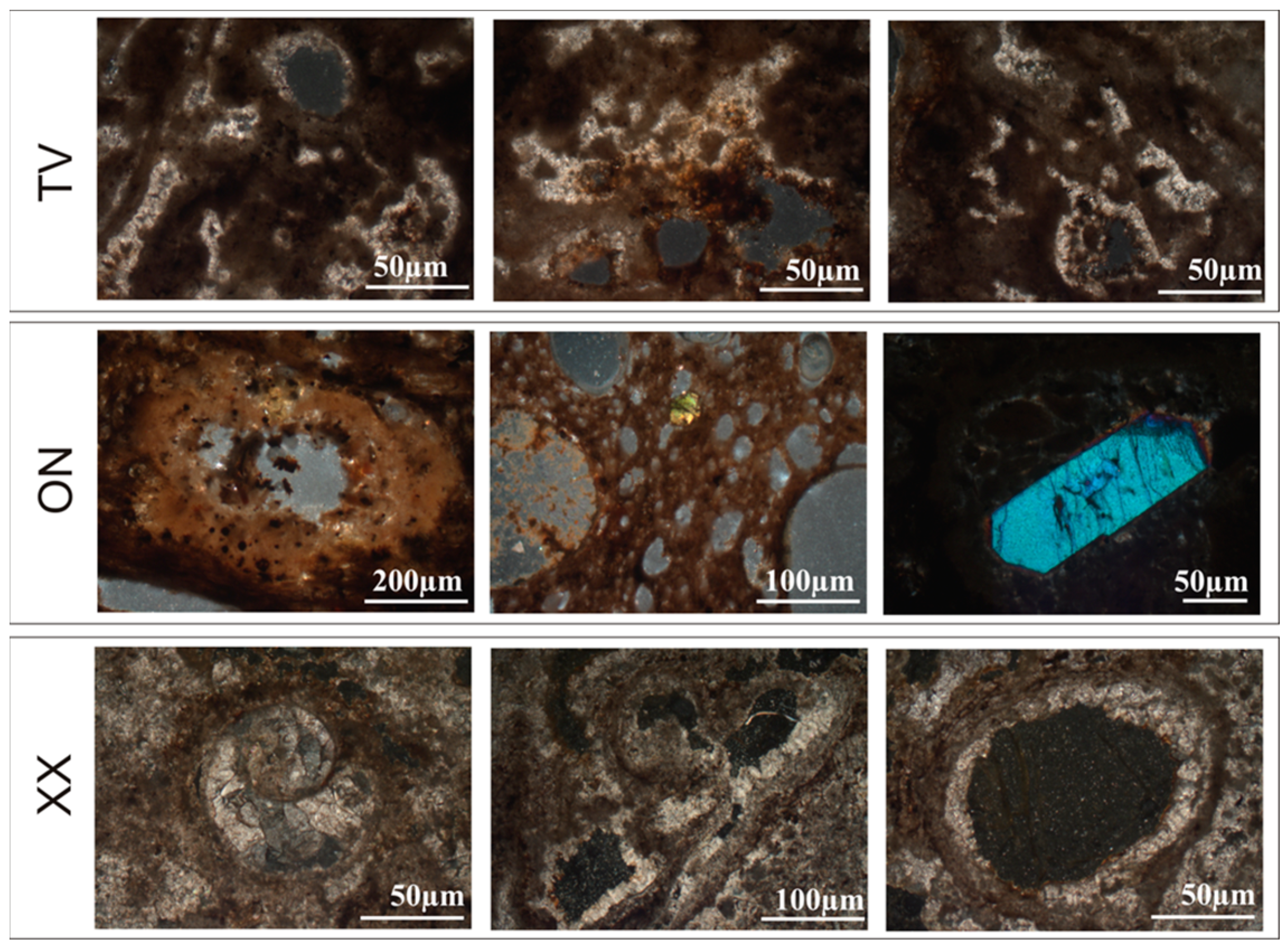 Water 16 01113 g004 Water 16 01113 g004