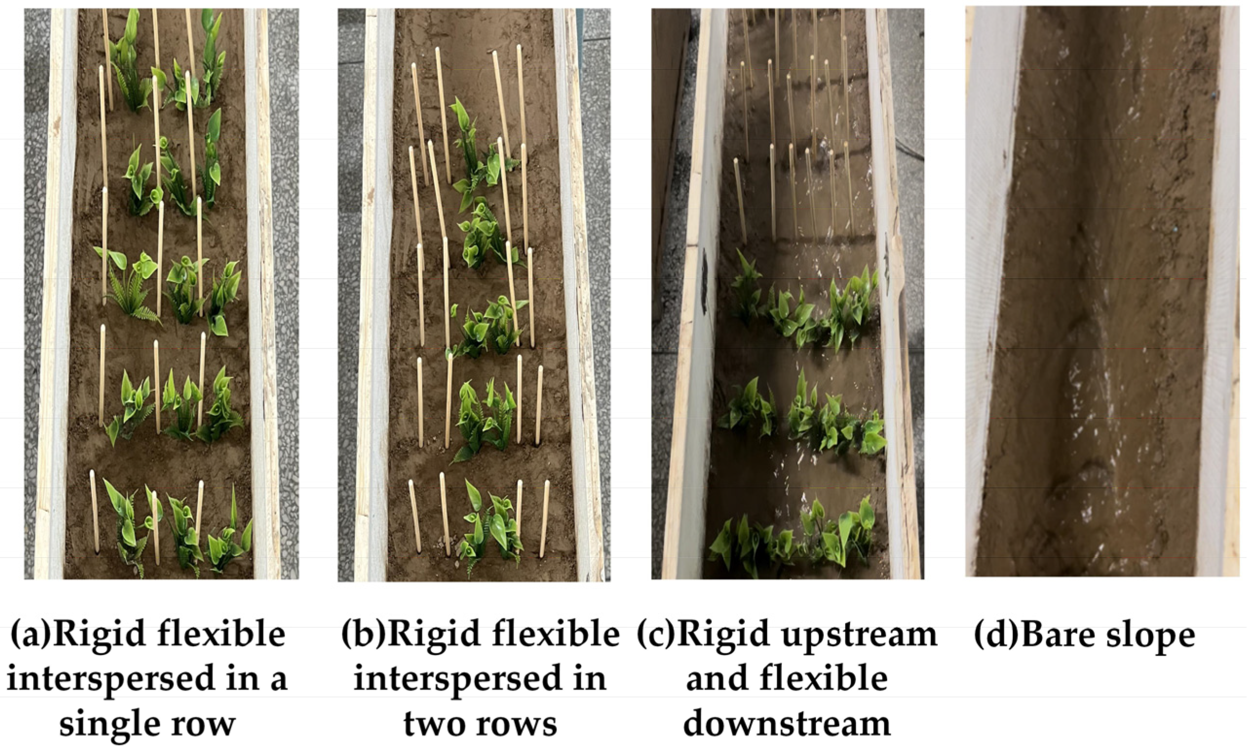 Water 16 01140 g003 Water 16 01140 g003