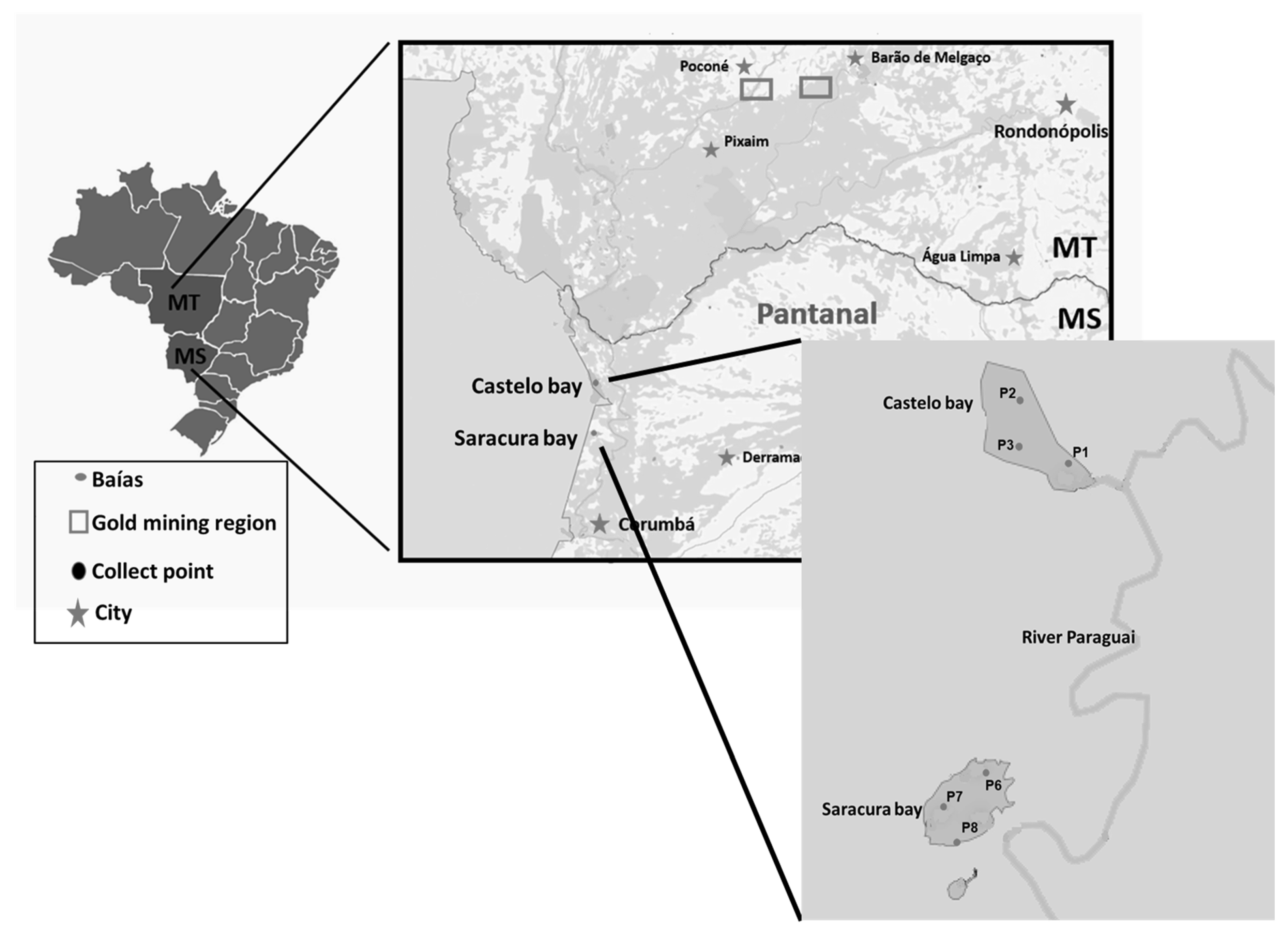 Water 16 01204 g001 Water 16 01204 g001