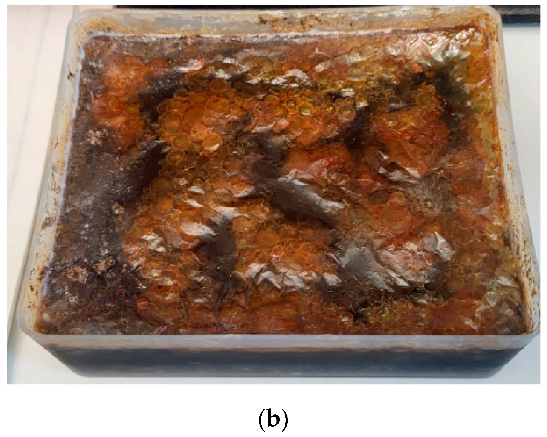 Water 16 01298 g004b