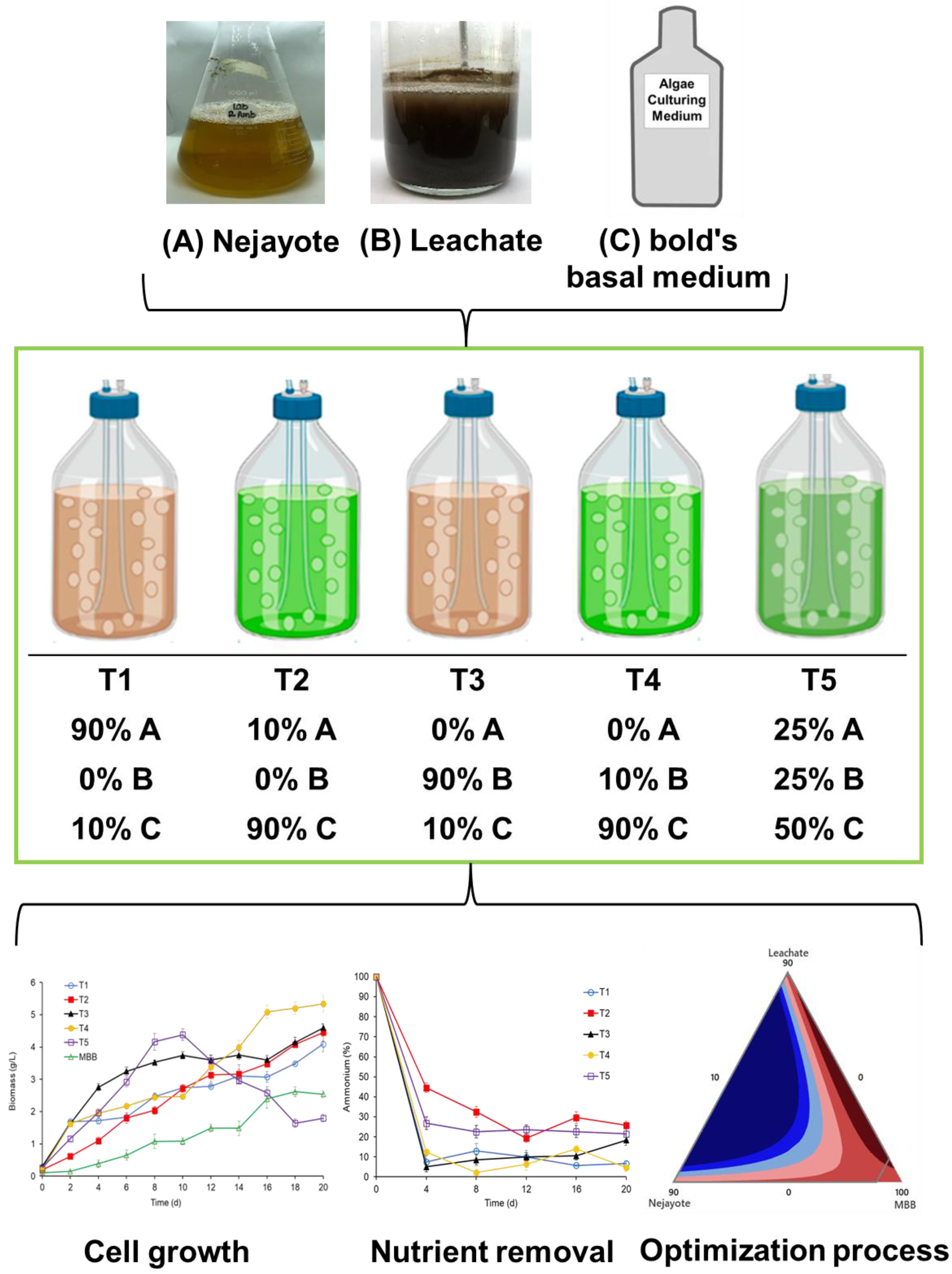 Water 16 01314 g001 Water 16 01314 g001