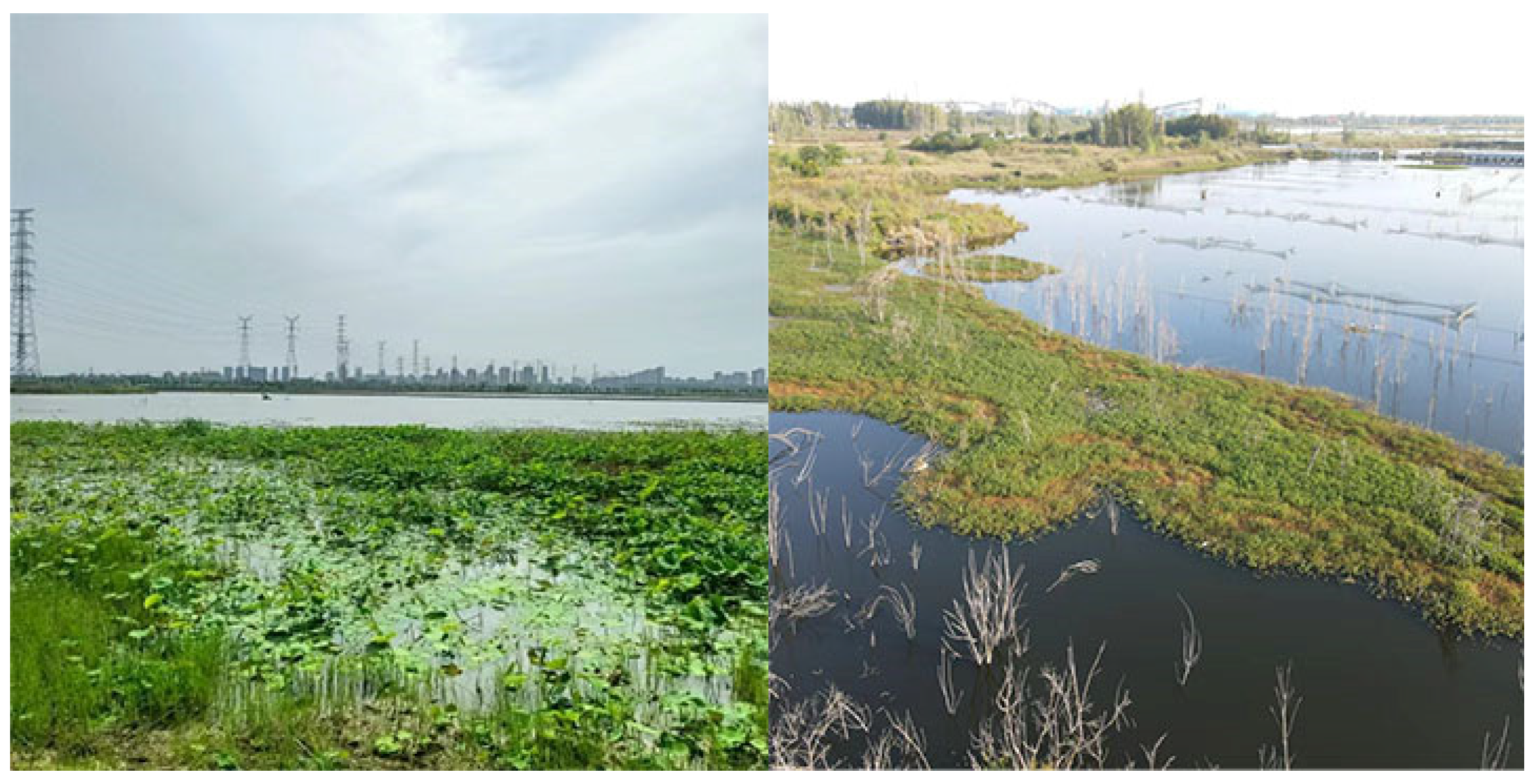 Water 16 01339 g002 Water 16 01339 g002