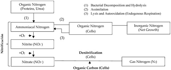 17 Frontiers | Focus on the Role of the NLRP3 Inflammasome in
