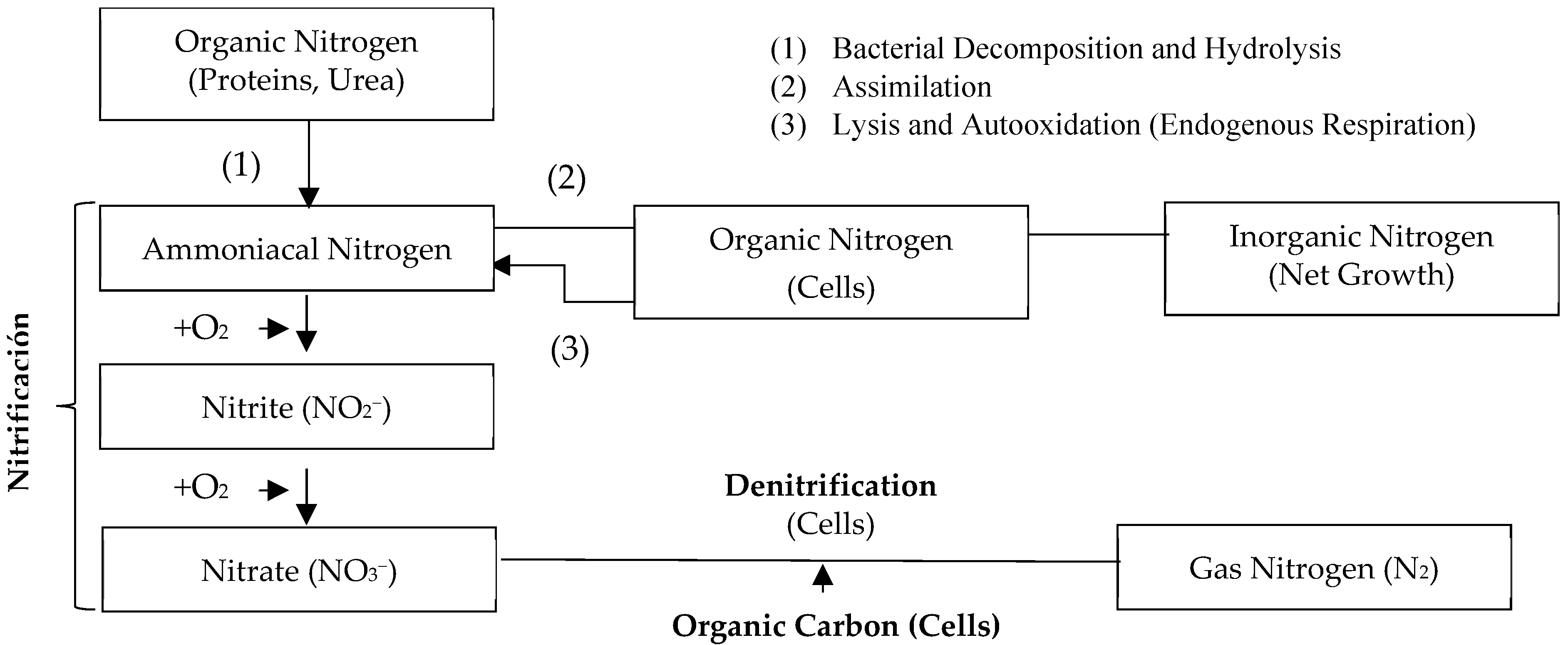 Water 16 01354 g003 Water 16 01354 g003