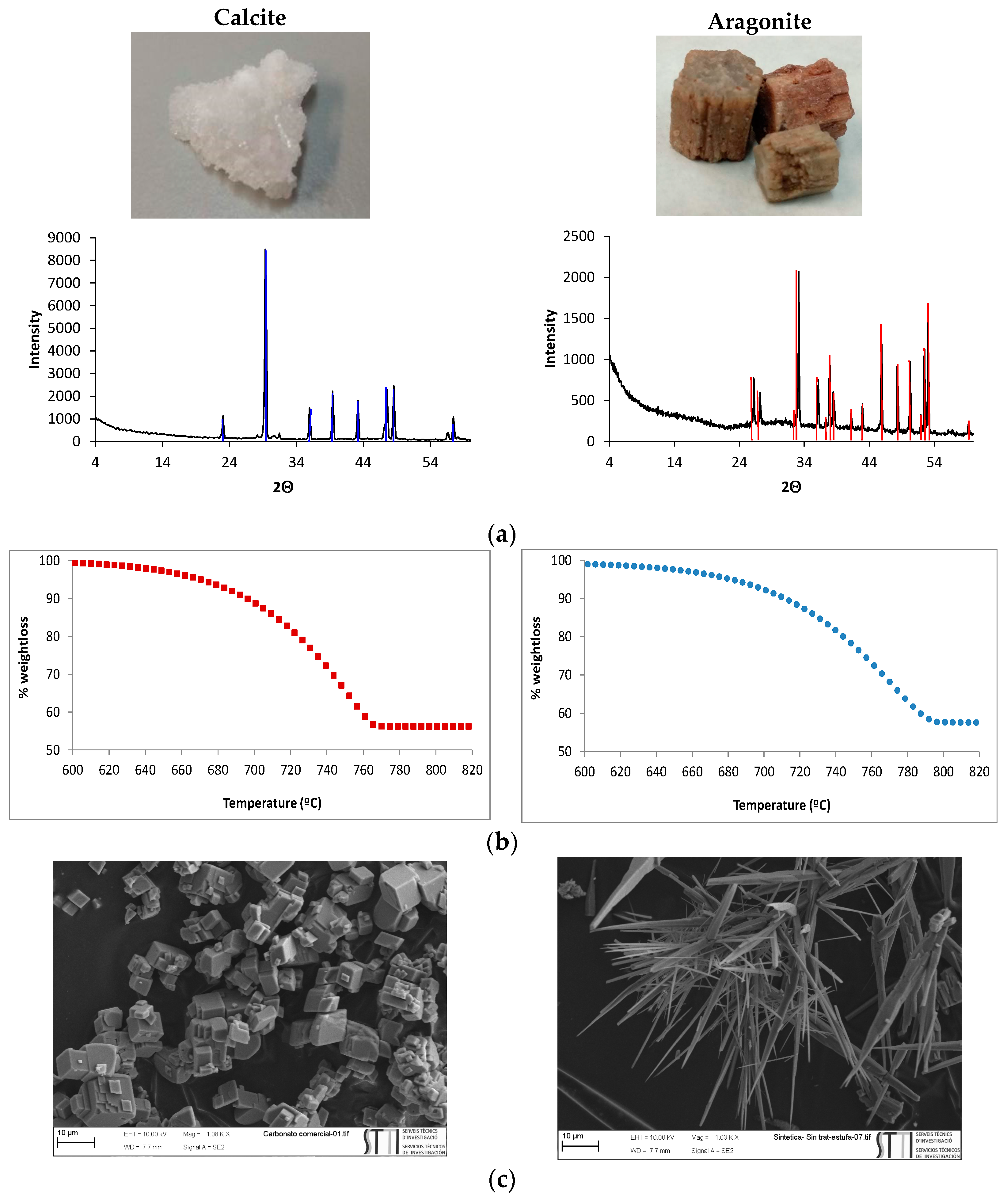 Water 16 01554 g006a