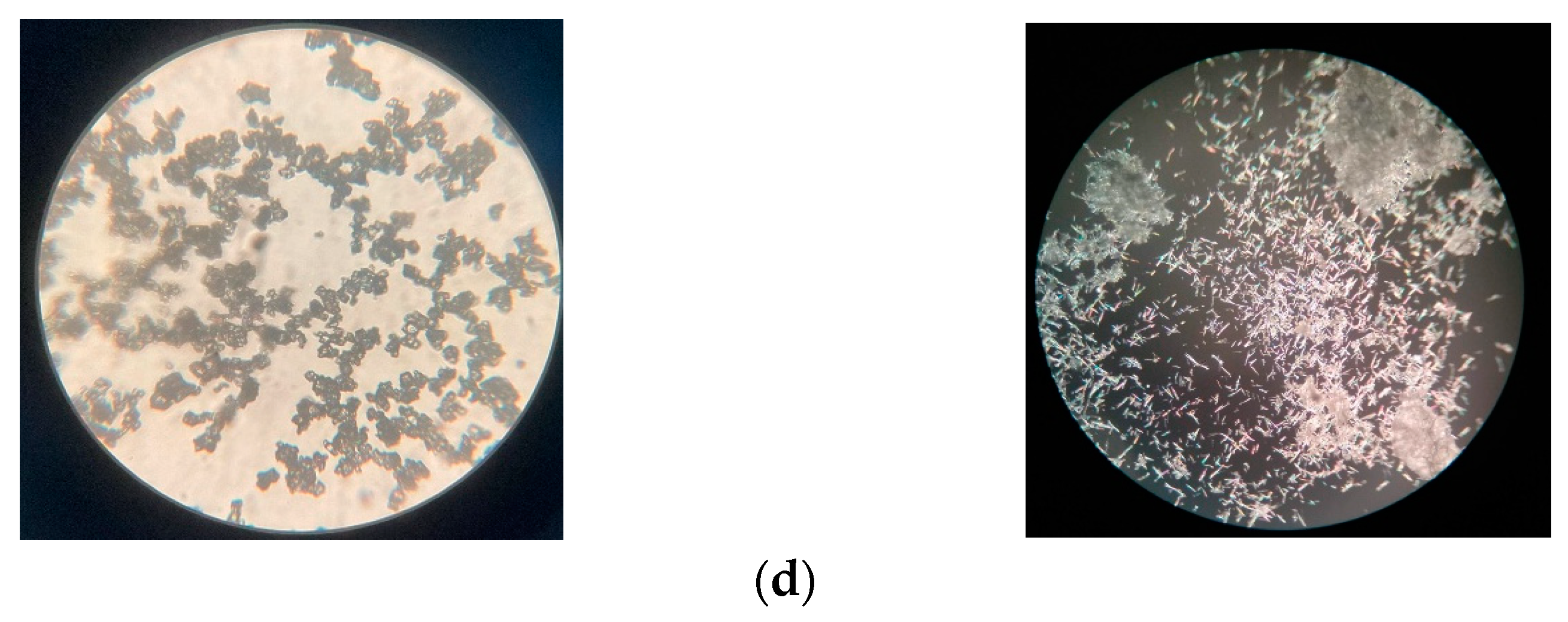 Water 16 01554 g006b