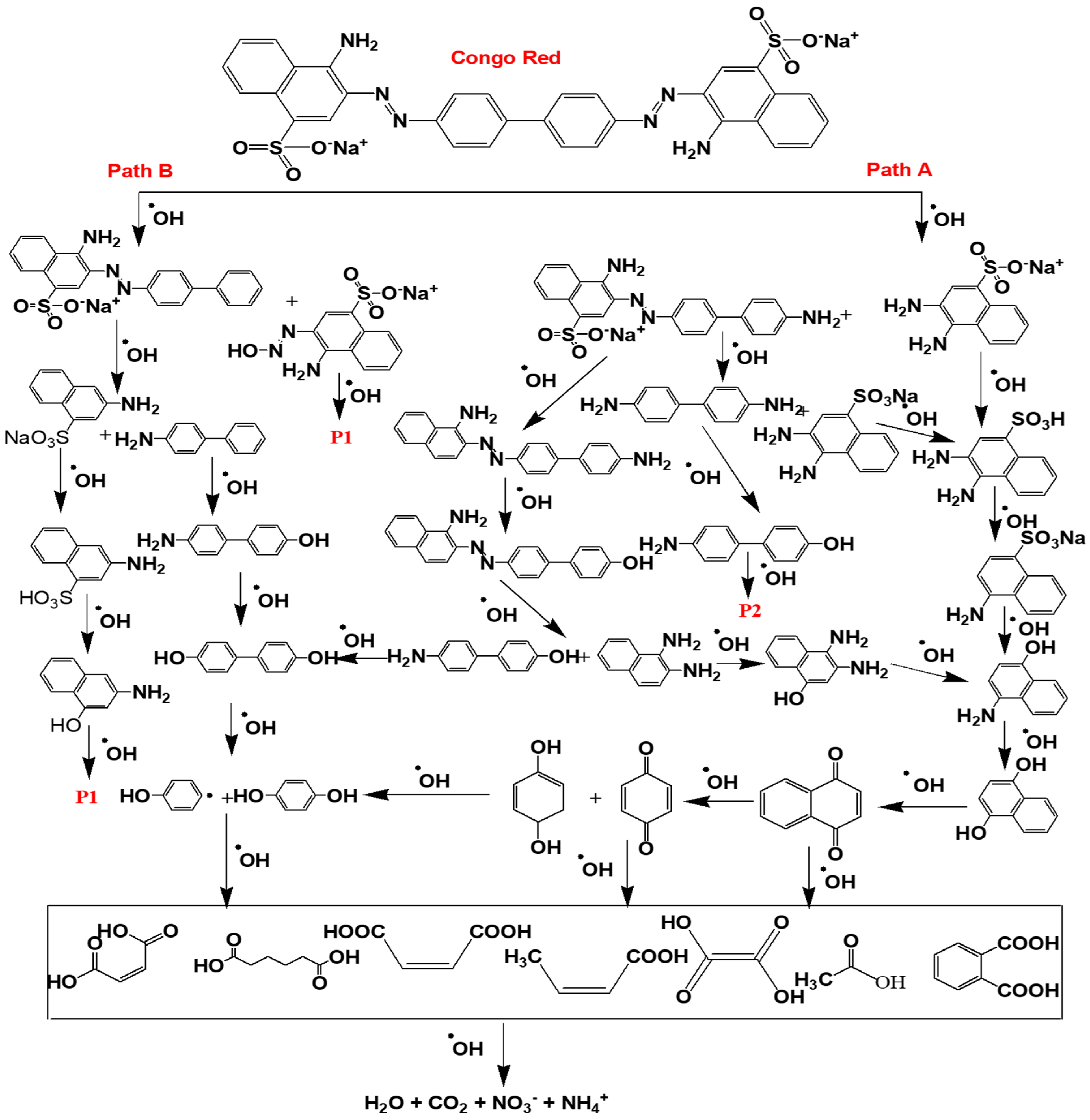 Water 16 01588 sch003