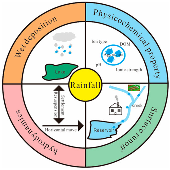 Natural Factors of Microplastics Distribution and Migration in Water: A ...