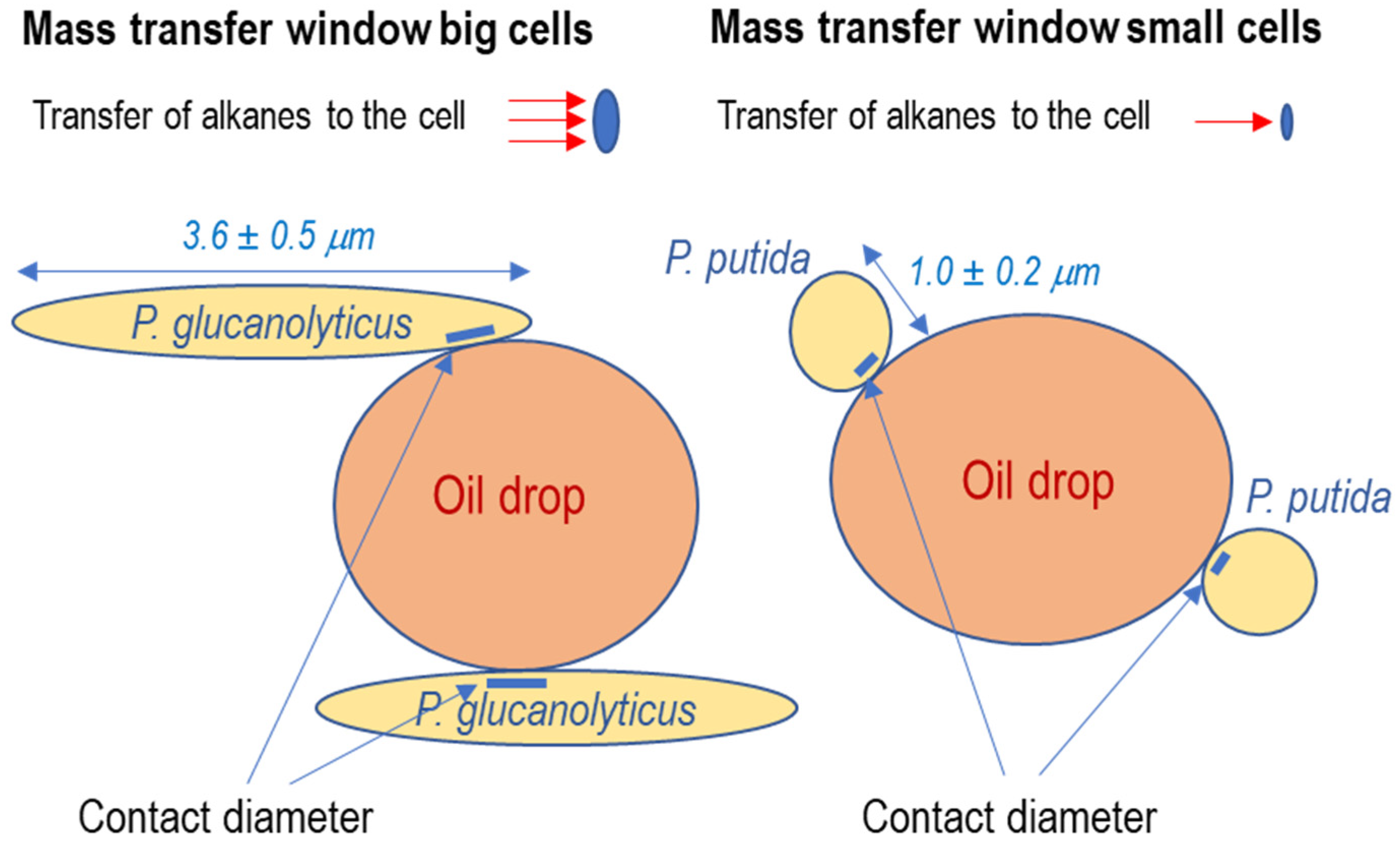 Water 16 01653 g007 Water 16 01653 g007
