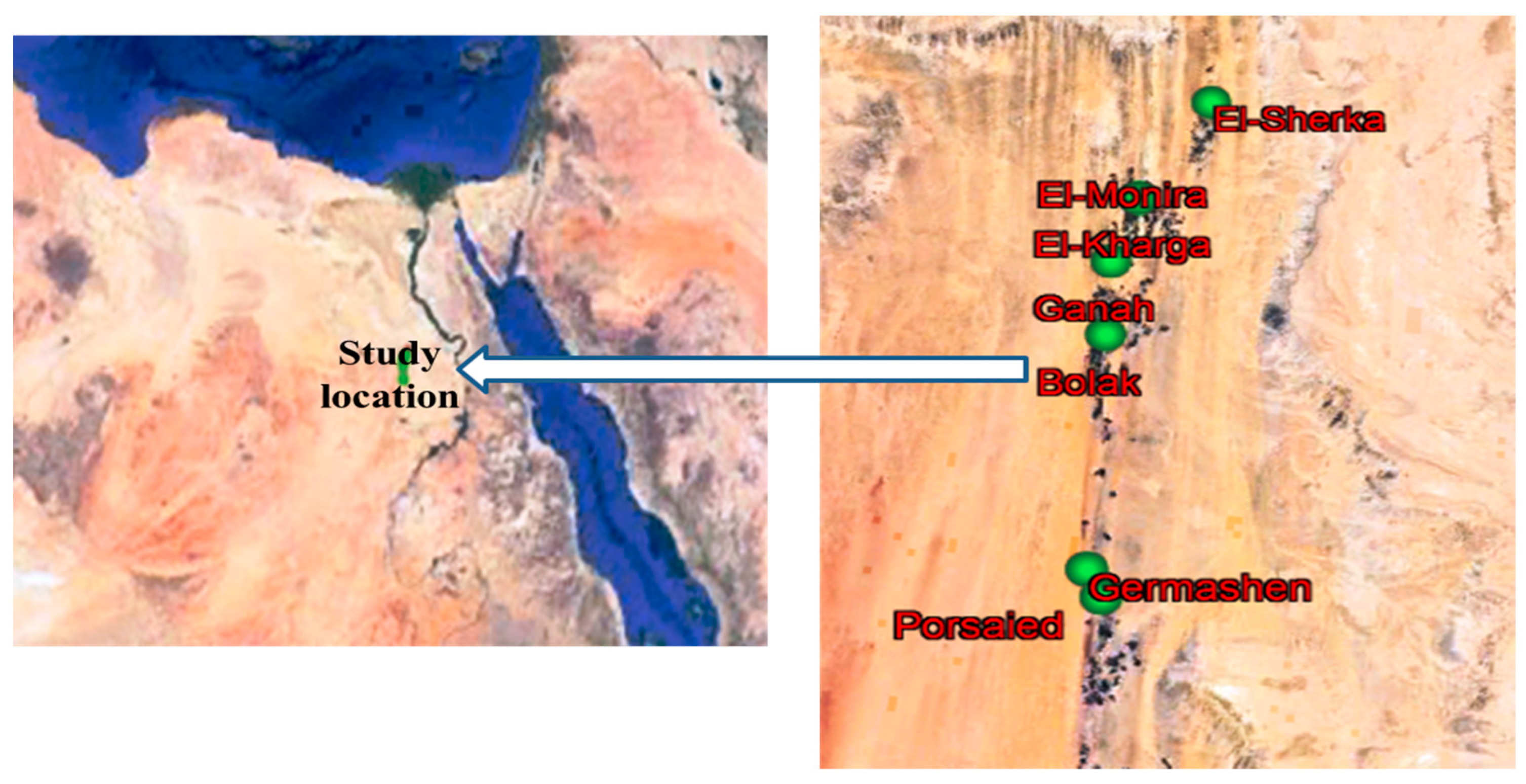 Water 16 01834 g001 Water 16 01834 g001