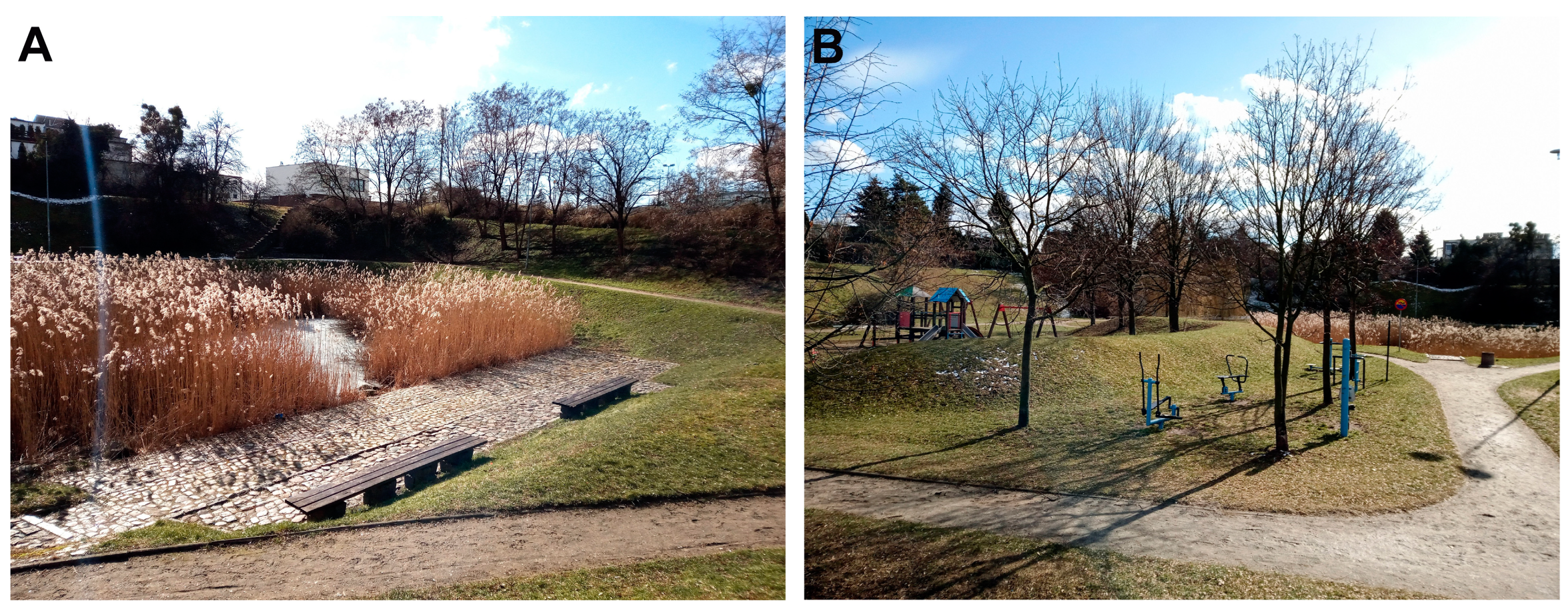 Water 16 02007 g004 Water 16 02007 g004