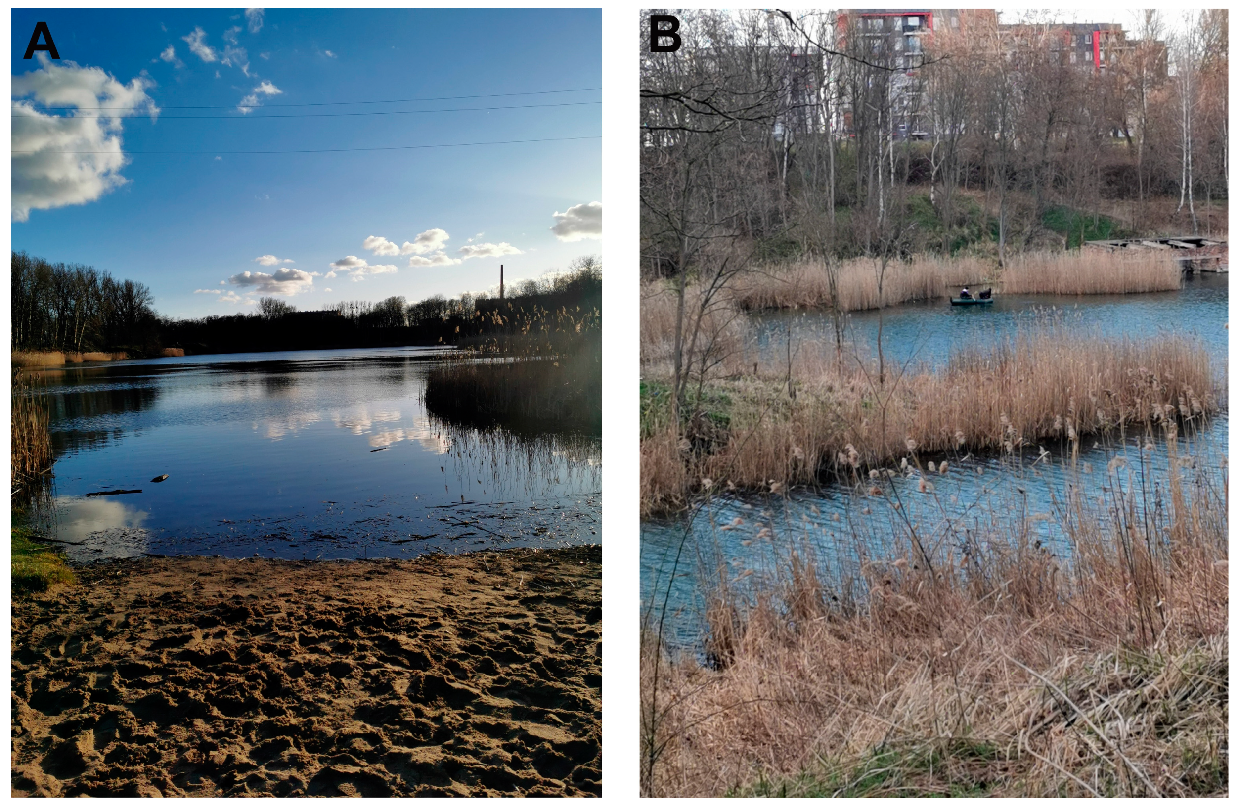 Water 16 02007 g005 Water 16 02007 g005