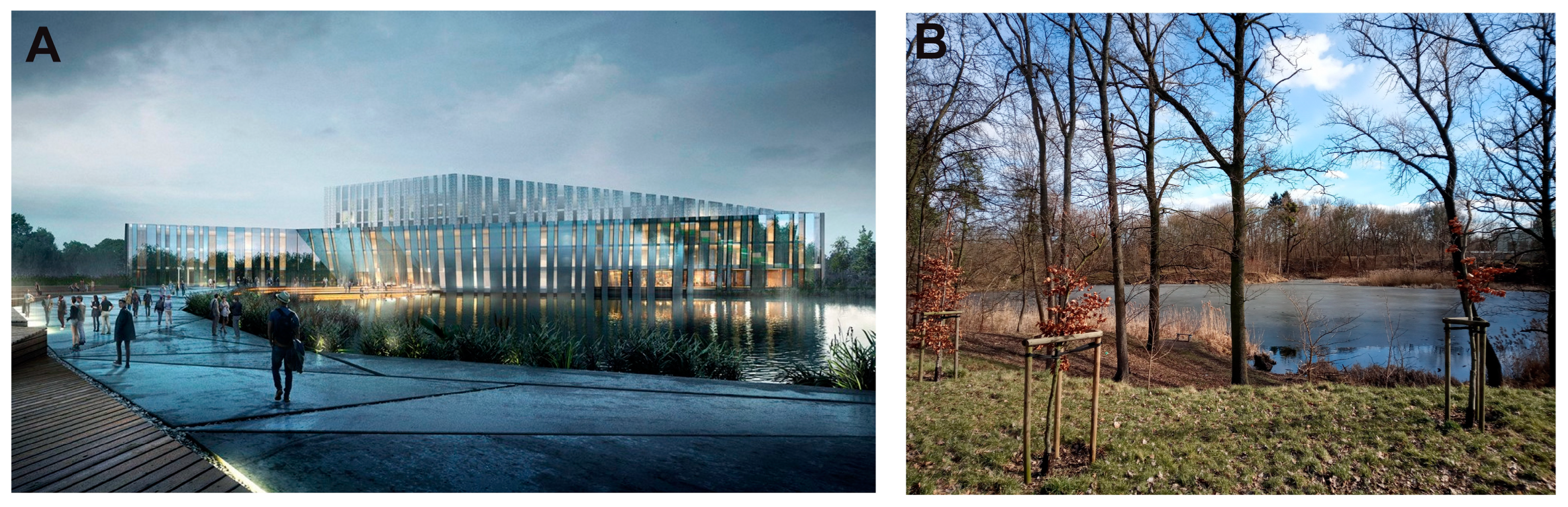 Water 16 02007 g006 Water 16 02007 g006