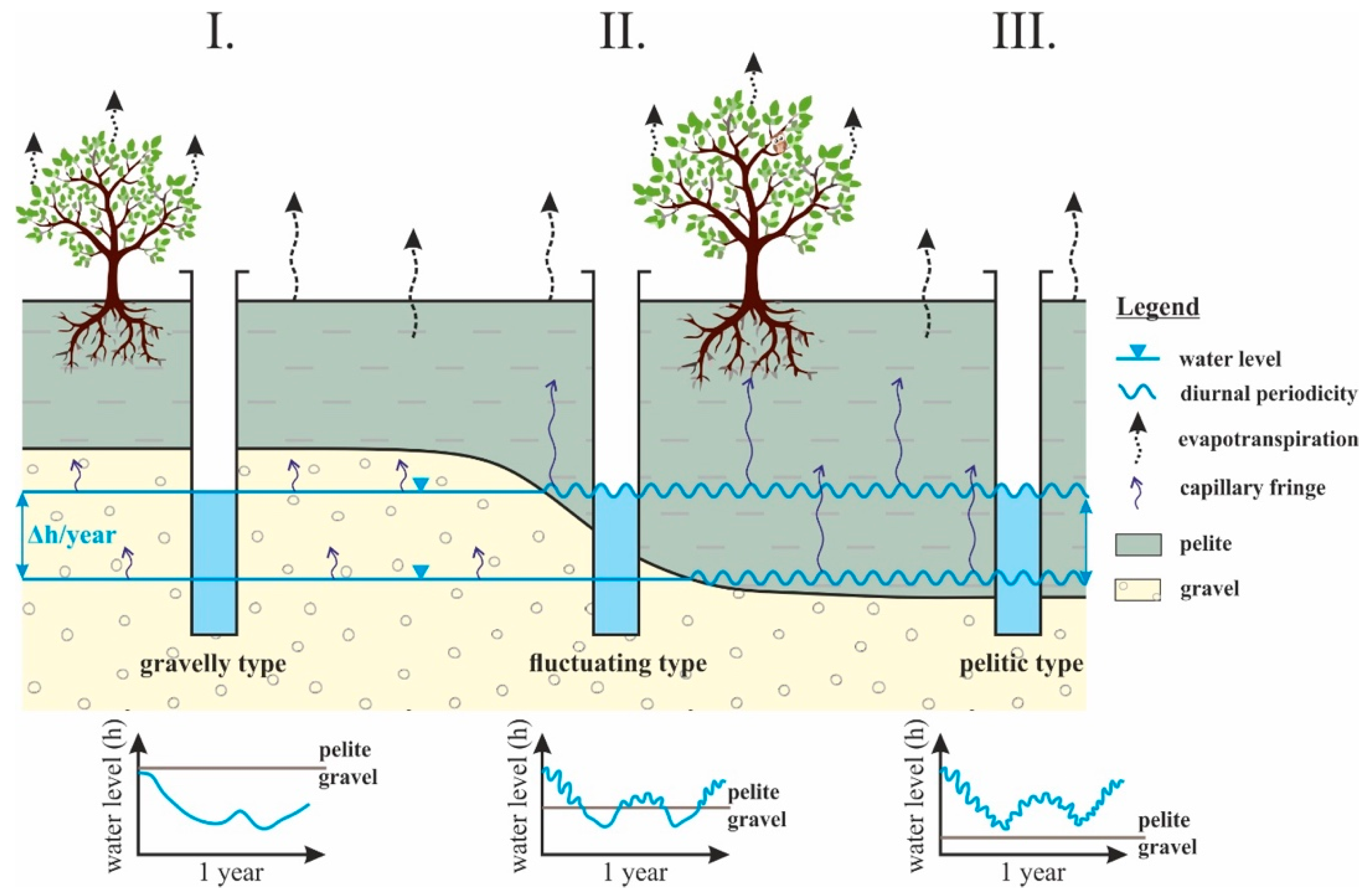 Water 16 02011 g008 Water 16 02011 g008