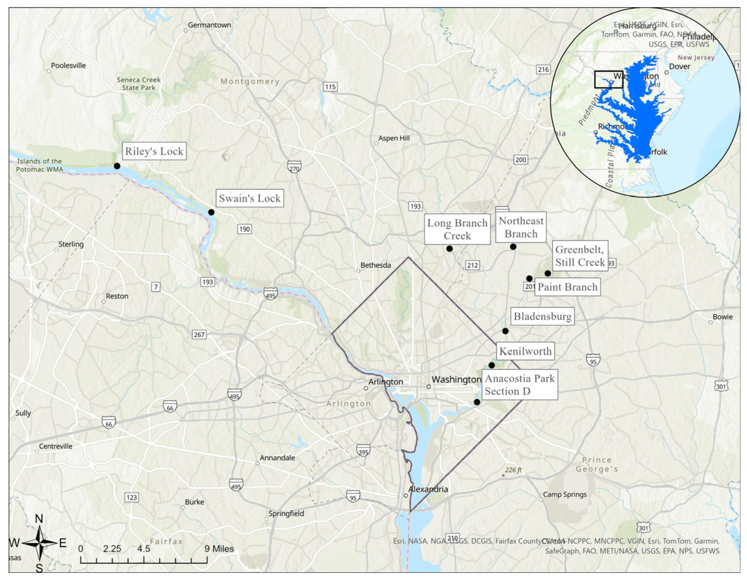 Water 16 02059 g001 Water 16 02059 g001