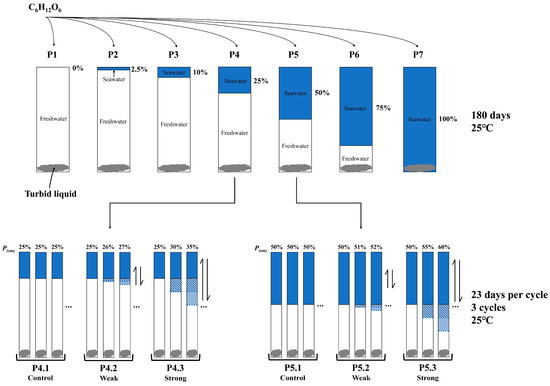Effects of Fresh Groundwater and Seawater Mixing Proportions