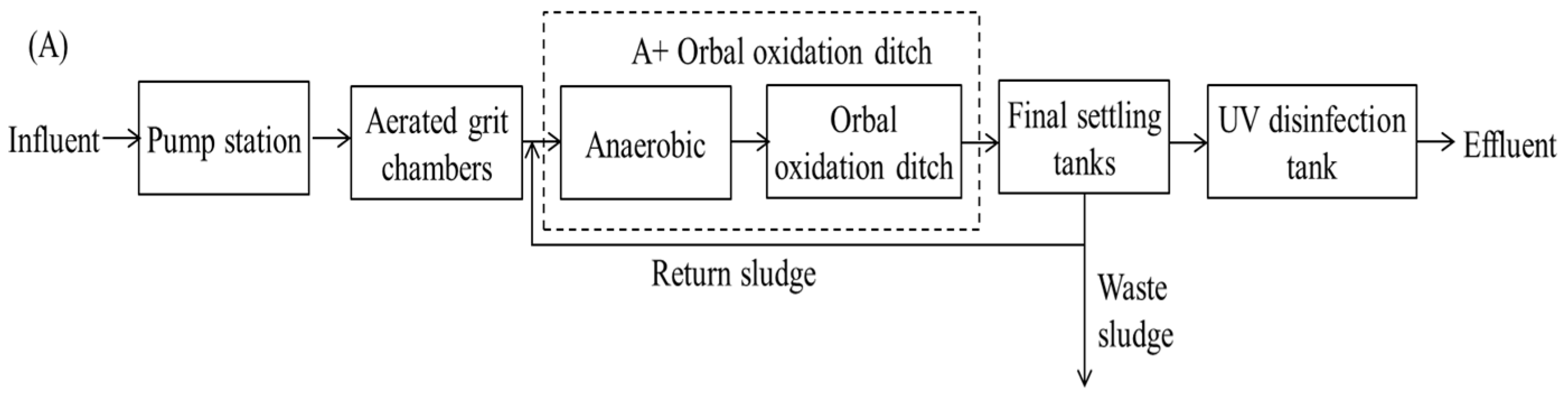 Water 16 02101 g001a