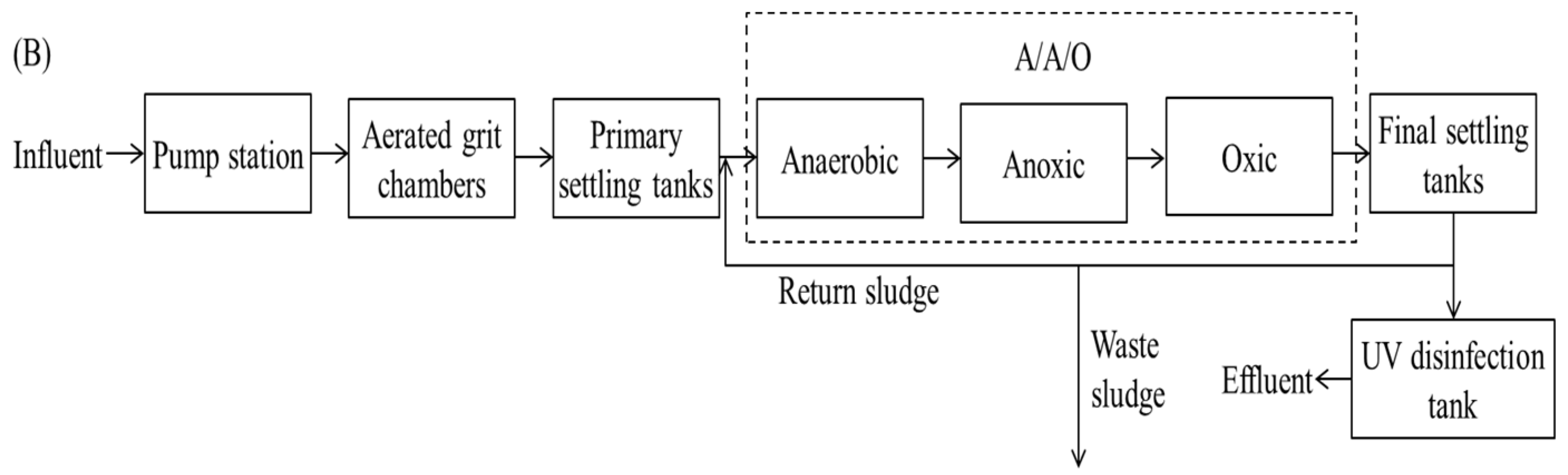 Water 16 02101 g001b