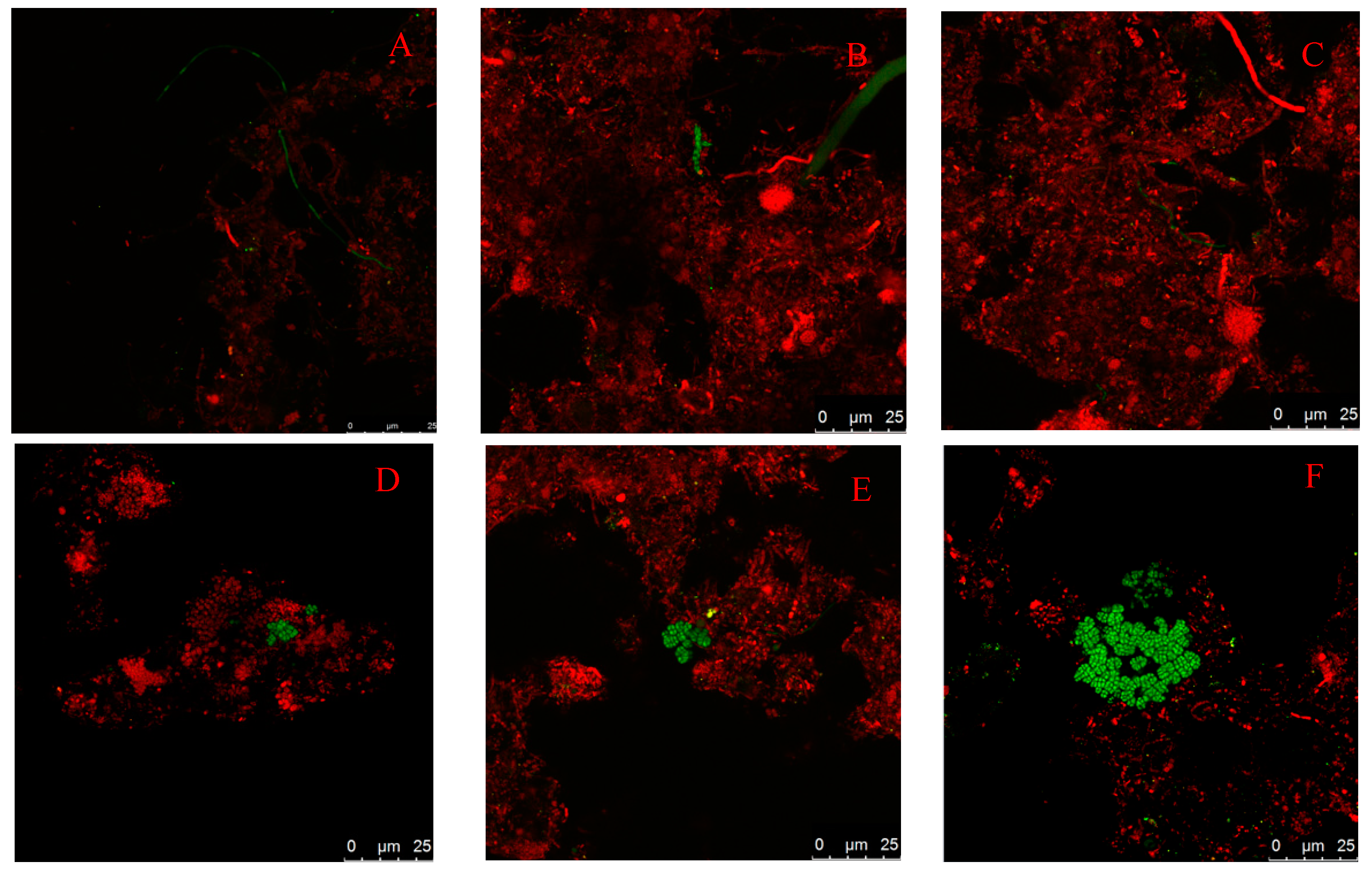 Water 16 02101 g005a