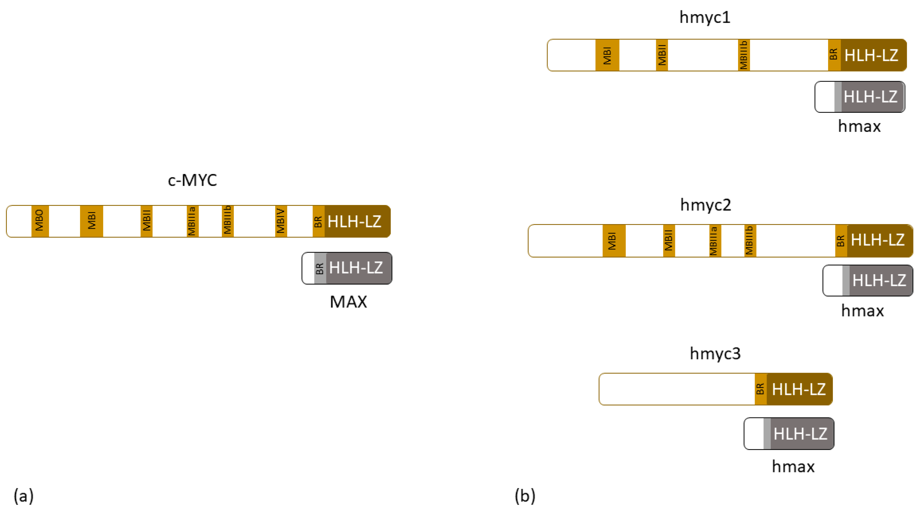 Water 16 02114 g002 Water 16 02114 g002