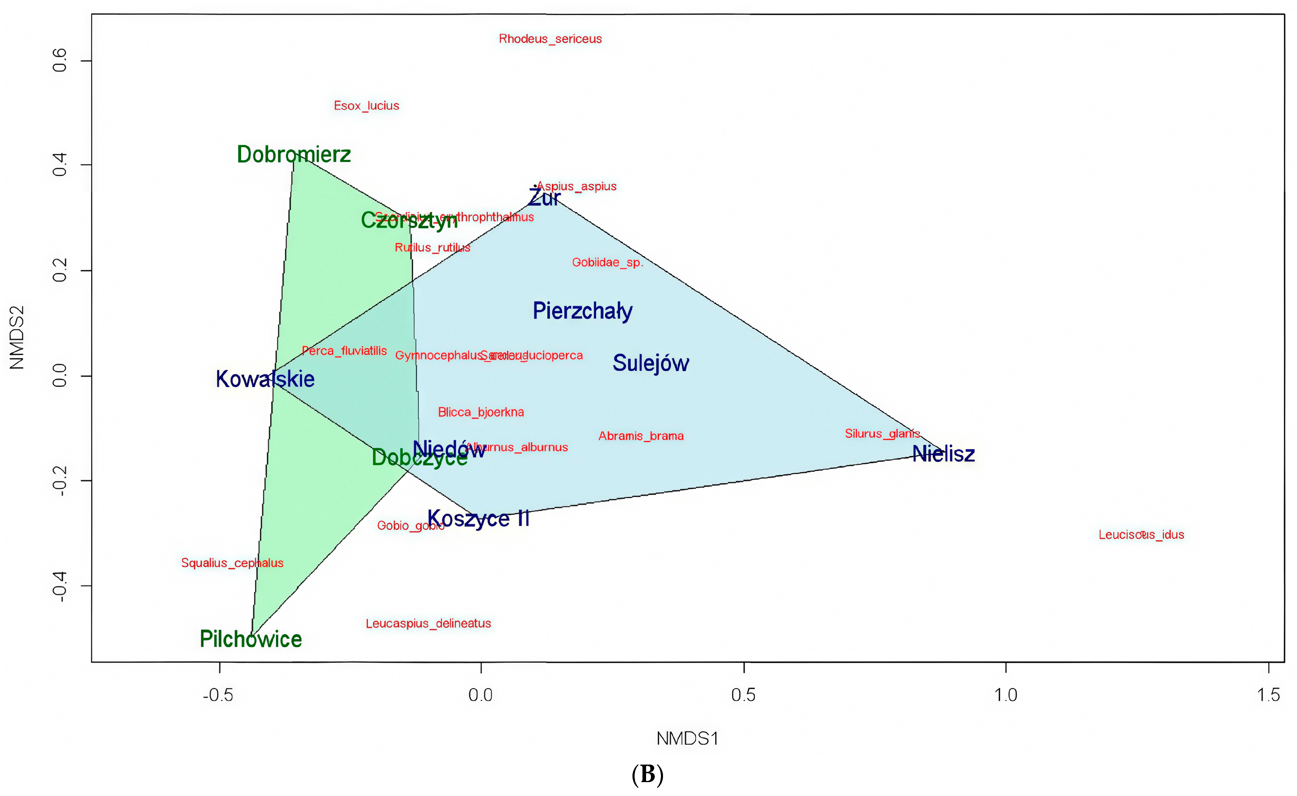 Water 16 02169 g005b