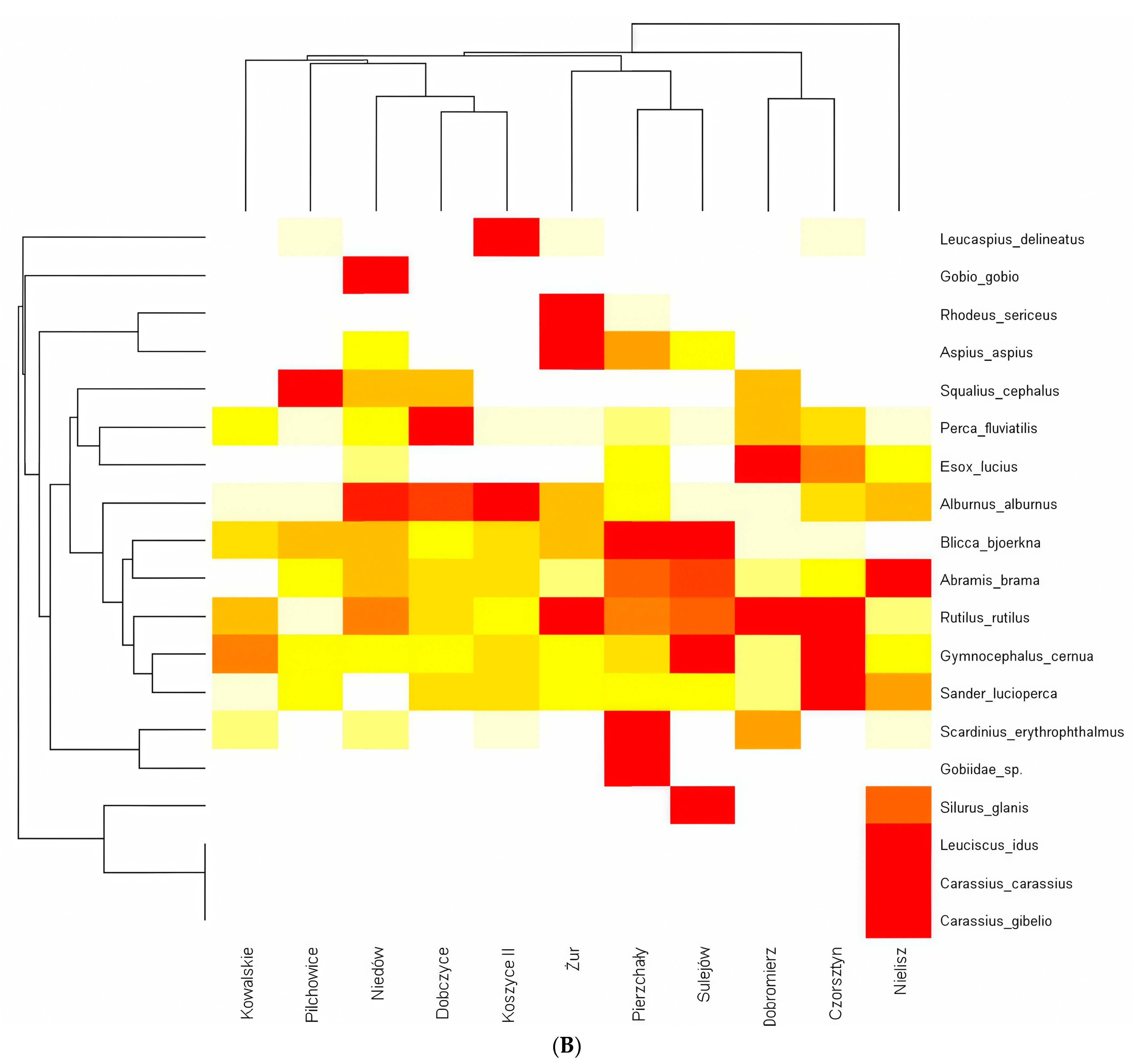 Water 16 02169 g006b