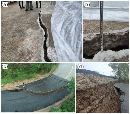 Extreme Rainfall Events Triggered Loess Collapses and