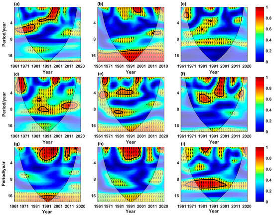 Identification of the Runoff Evolutions and Driving Forces