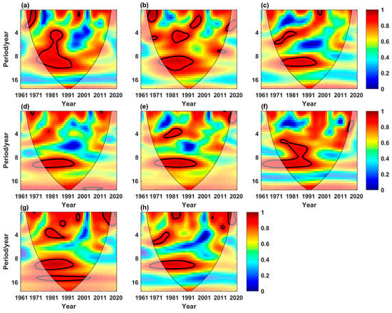 Identification of the Runoff Evolutions and Driving Forces