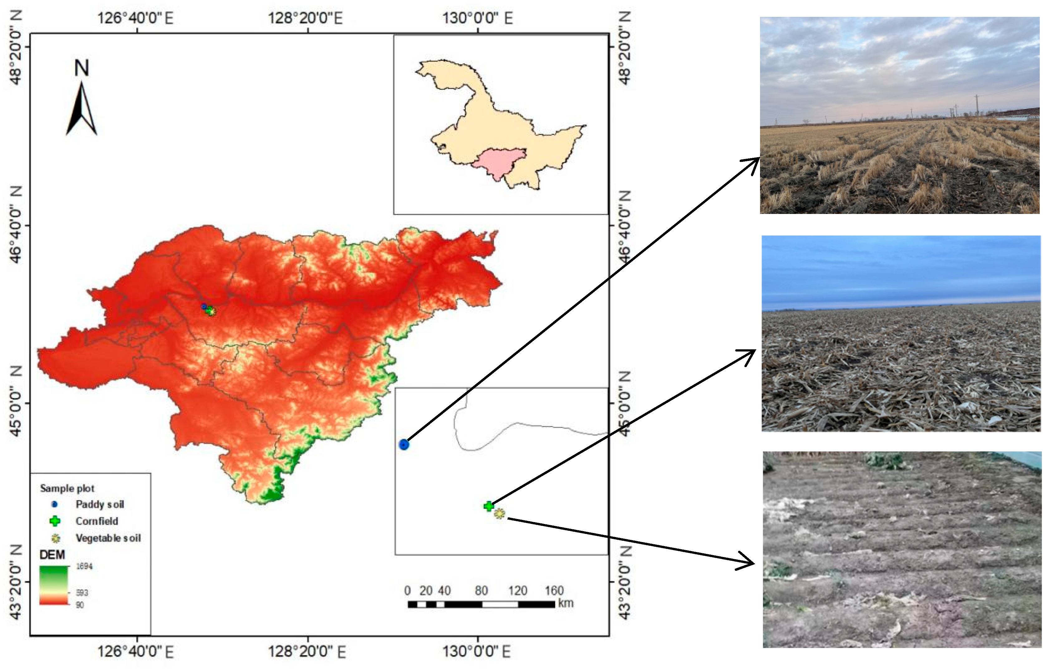 Water 16 02348 g001 Water 16 02348 g001