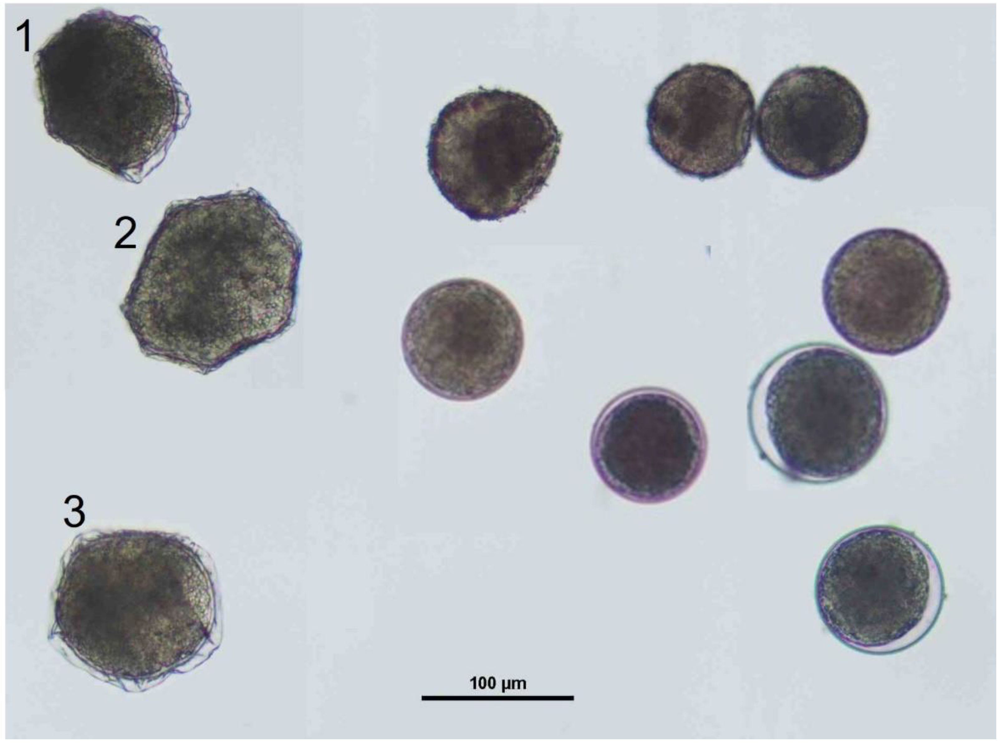 Water 16 02425 g002 Water 16 02425 g002