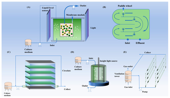 Microalgal–Bacteria Biofilm in Wastewater Treatment