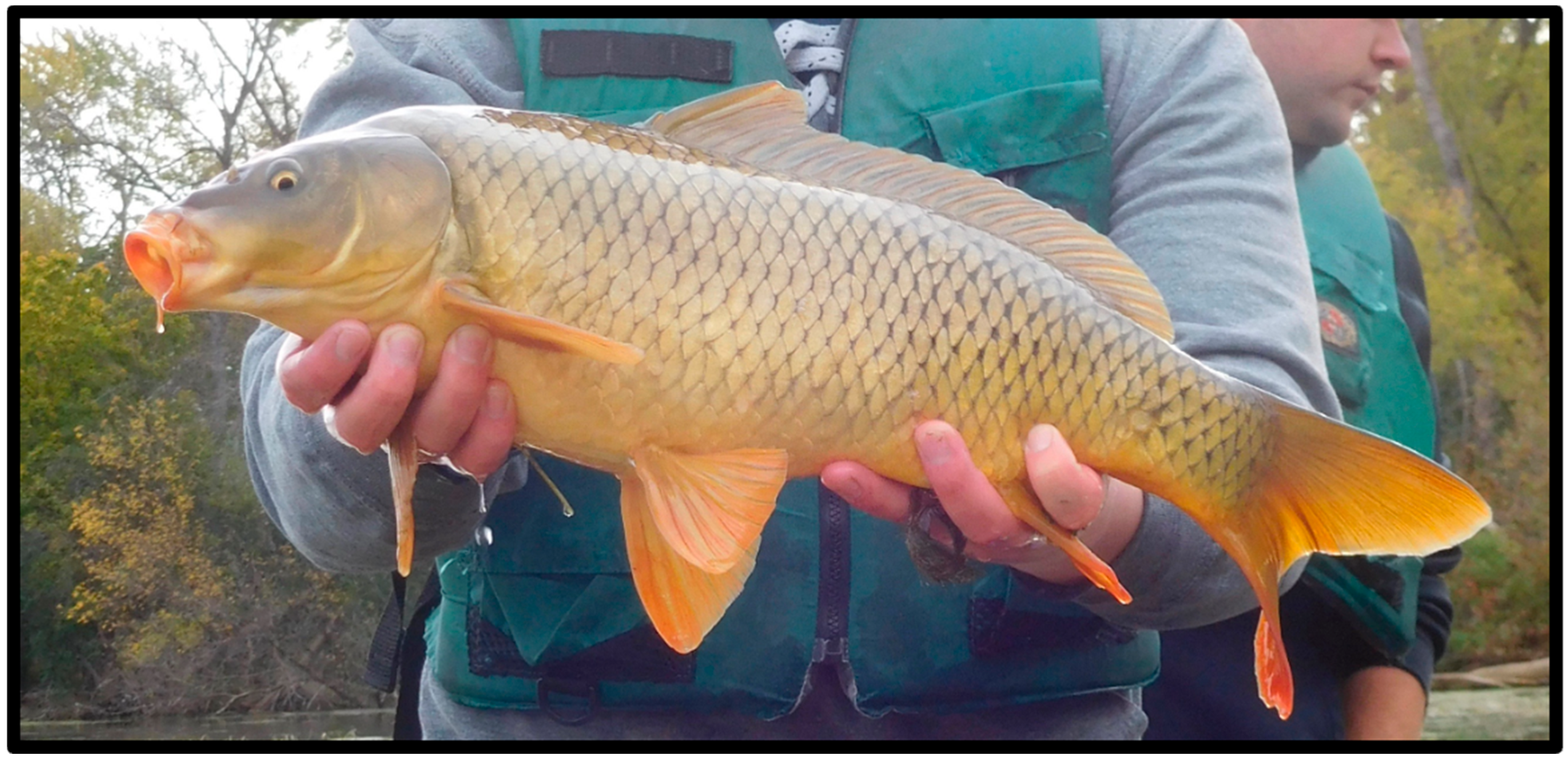 Water 16 02571 g002 Water 16 02571 g002