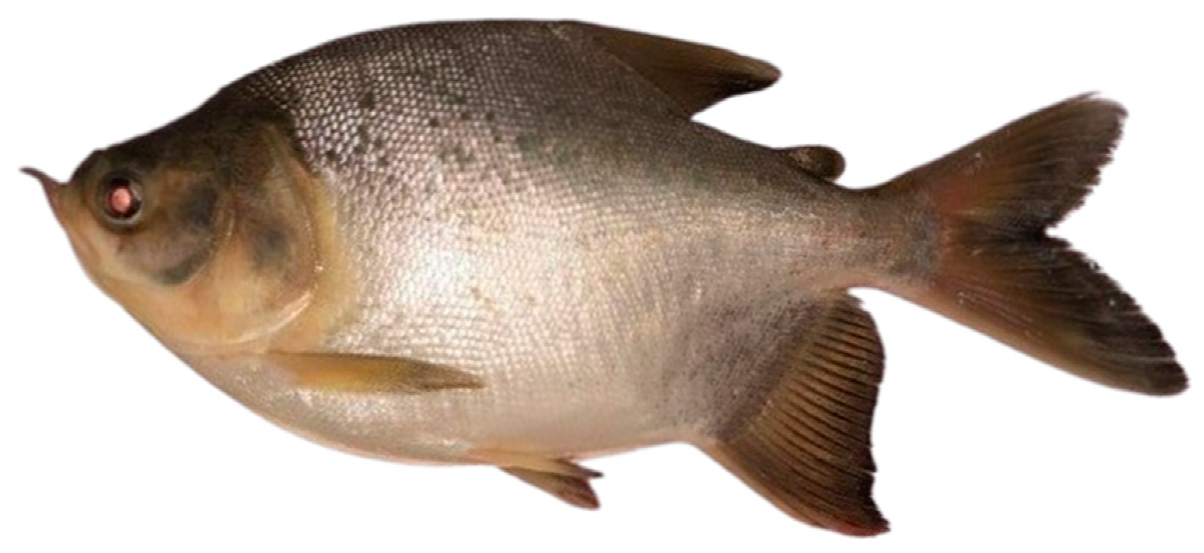 Water 16 02588 g002 Water 16 02588 g002