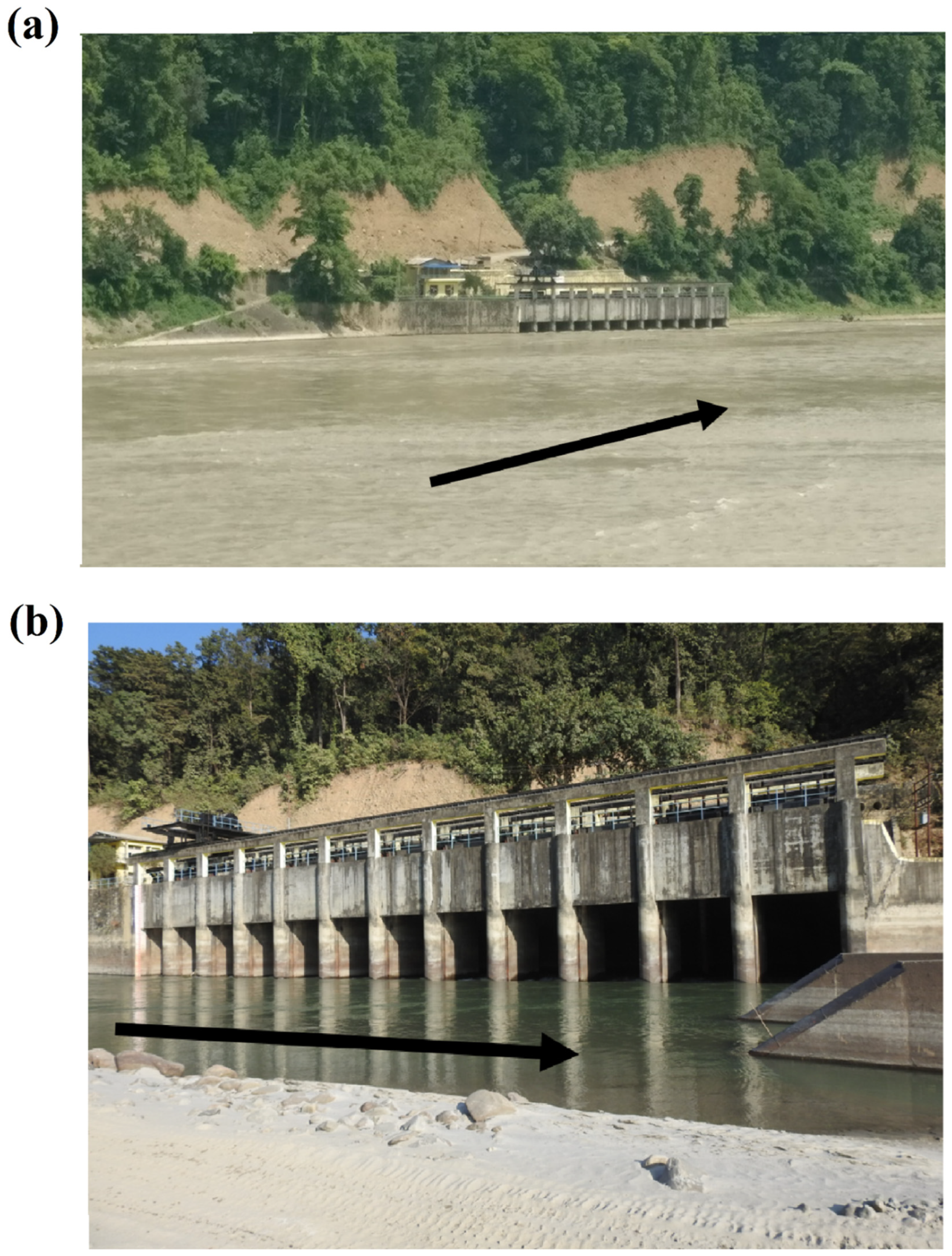 Water 16 02595 g006 Water 16 02595 g006