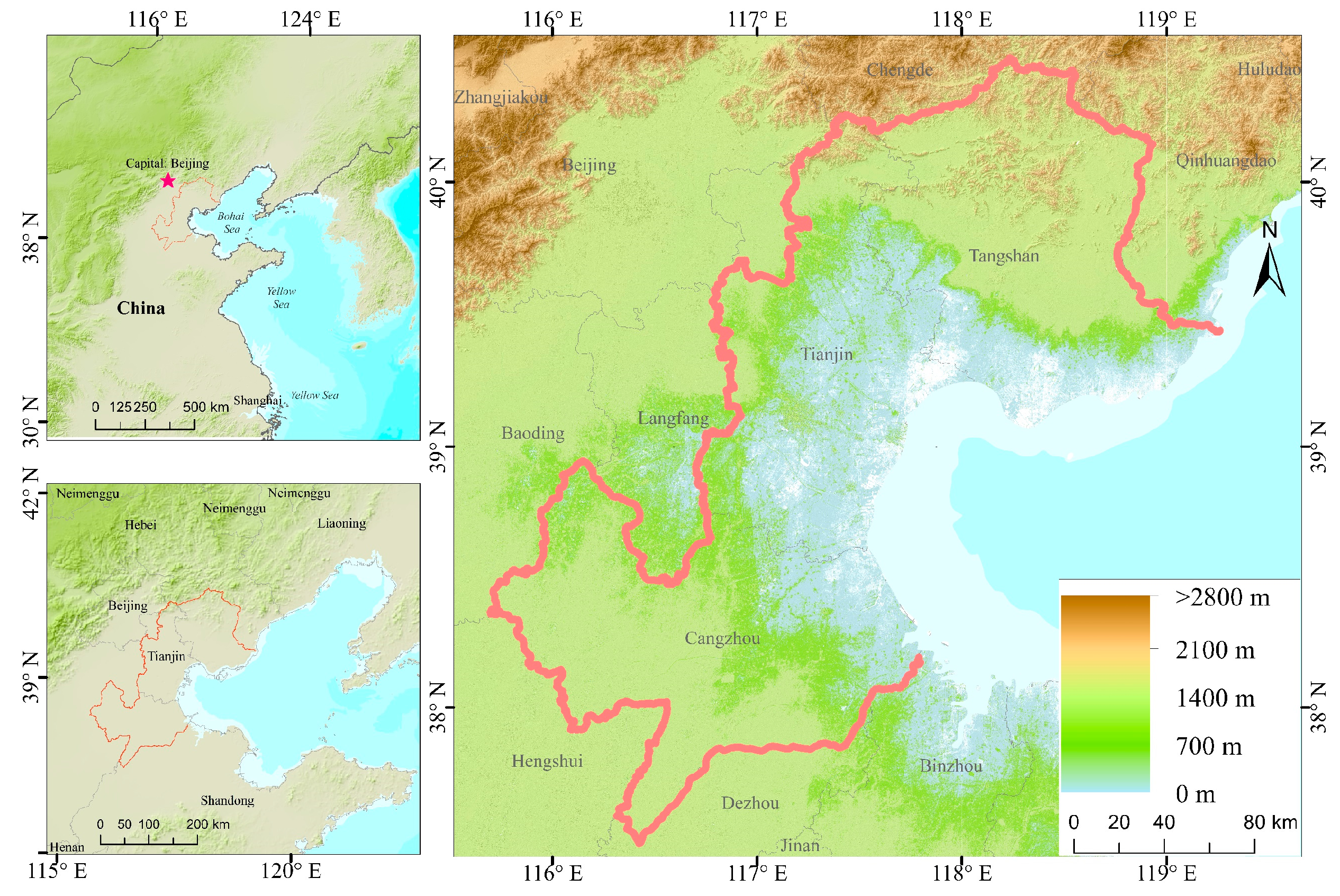 Spatiotemporal Dynamics and Drivers of Coastal Wetlands in