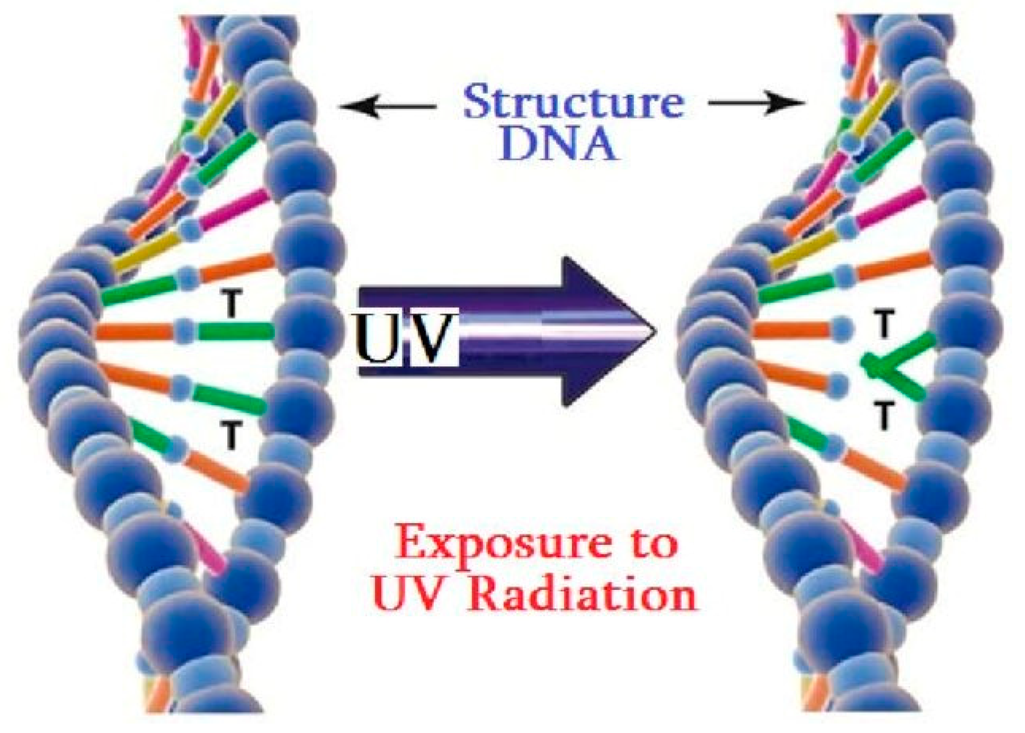 Decontamination Potential of Ultraviolet Type C Radiation in Water Treatment Systems Targeting Microbial Inactivation