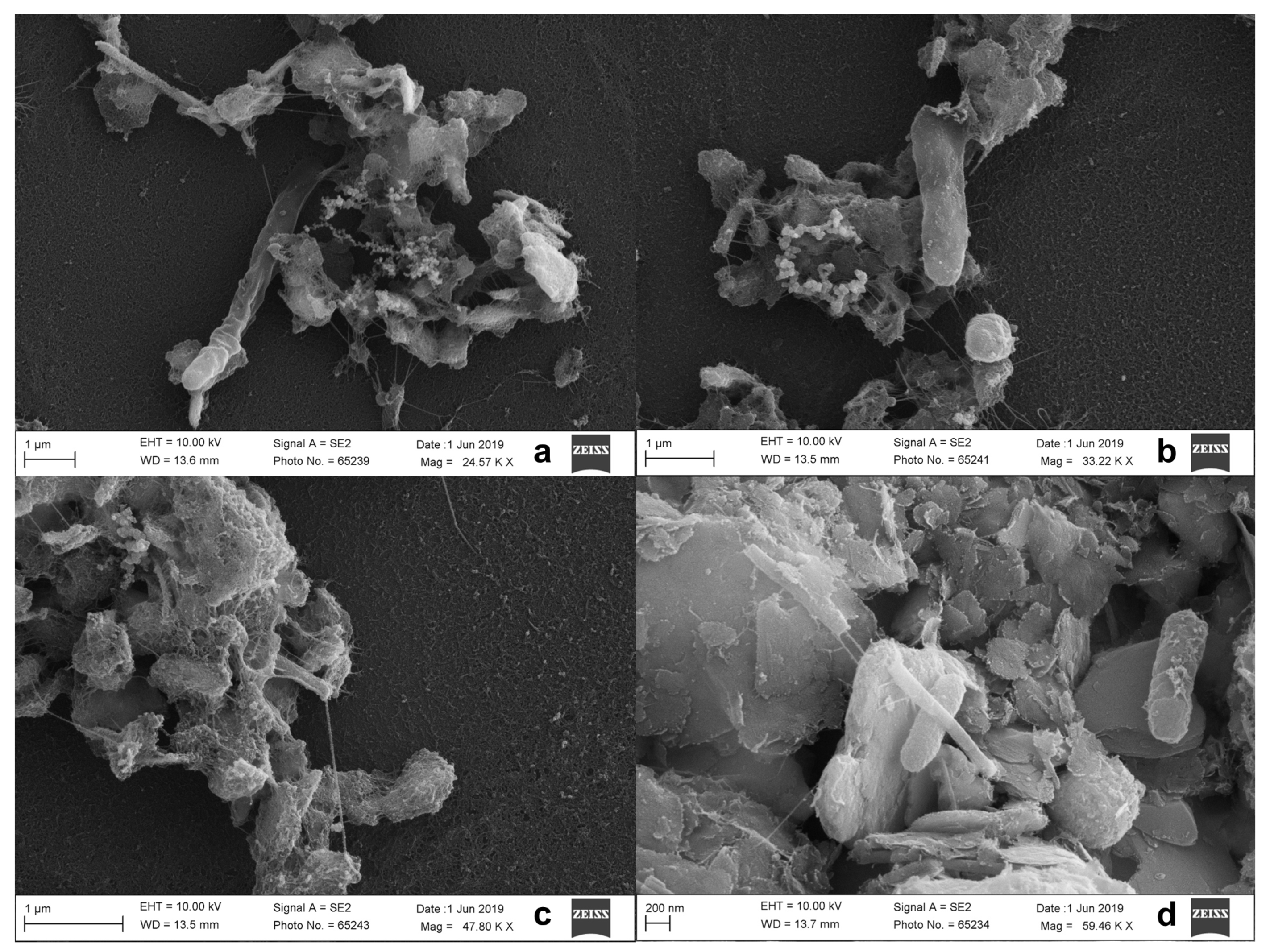 Water 16 02740 g008 Water 16 02740 g008