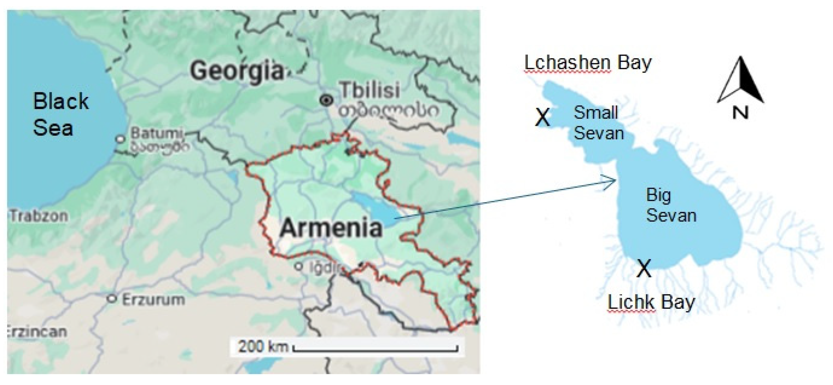 Water 16 02789 g001 Water 16 02789 g001