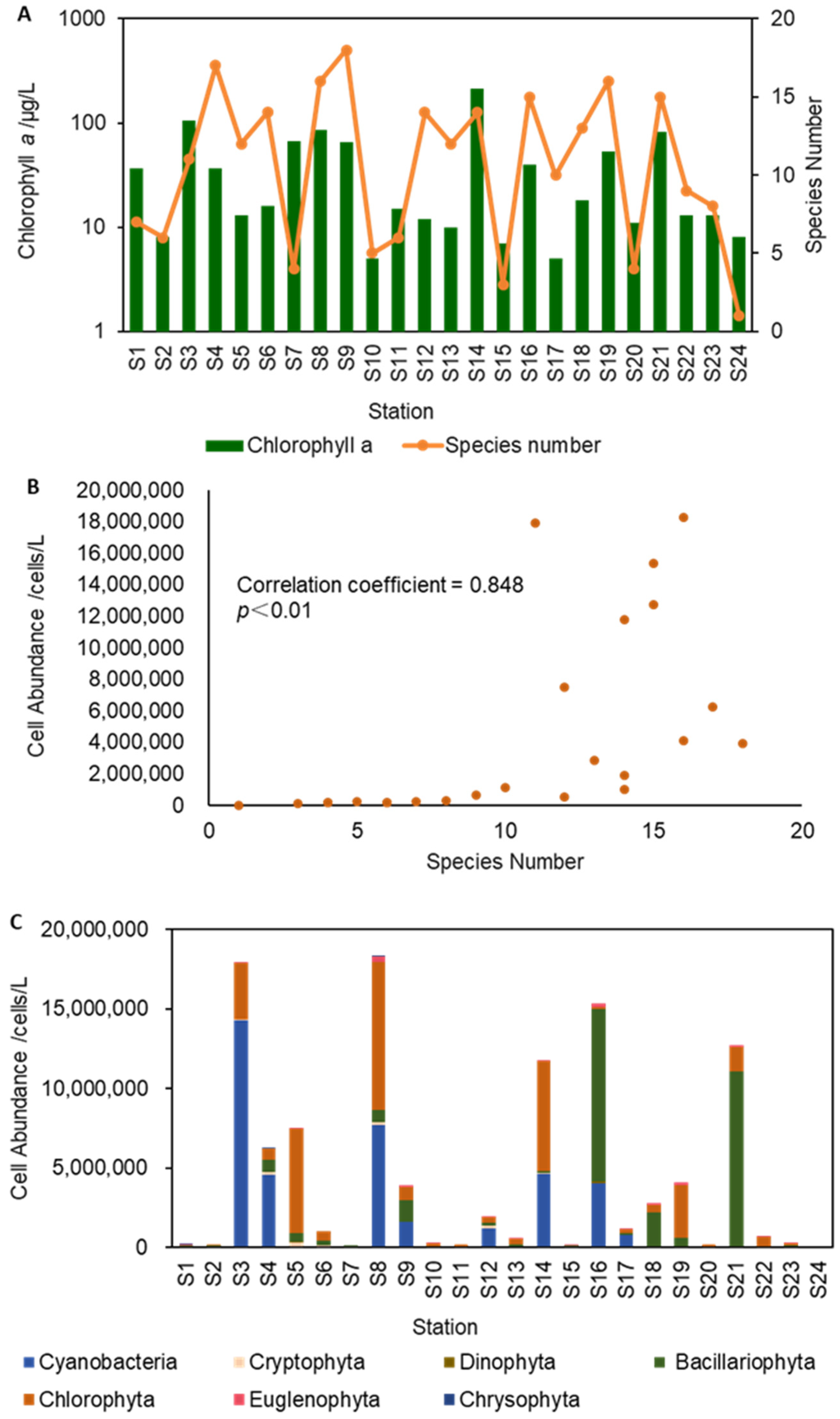 Water 16 02813 g002 Water 16 02813 g002