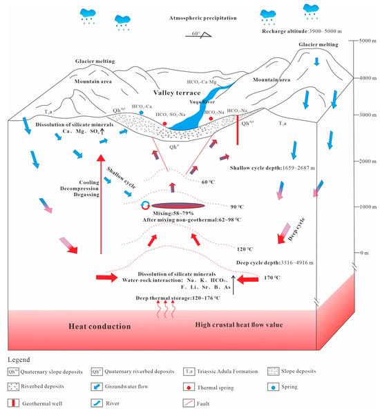 Exploring Neutrophil Heterogeneity and Plasticity in Health