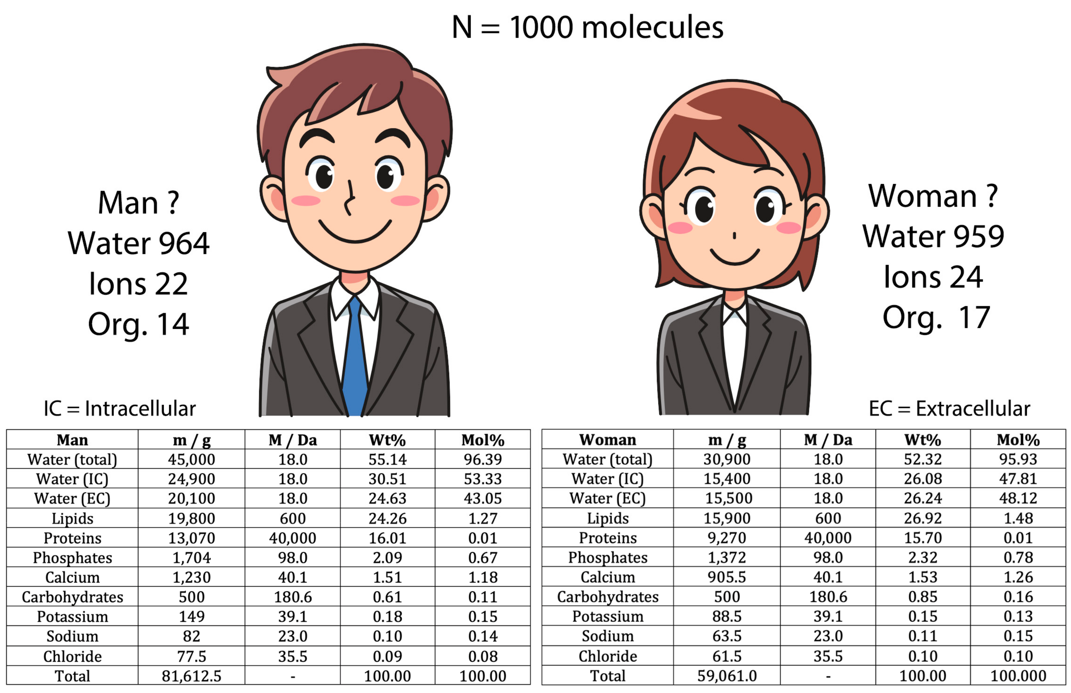 Water 16 02854 g005 Water 16 02854 g005