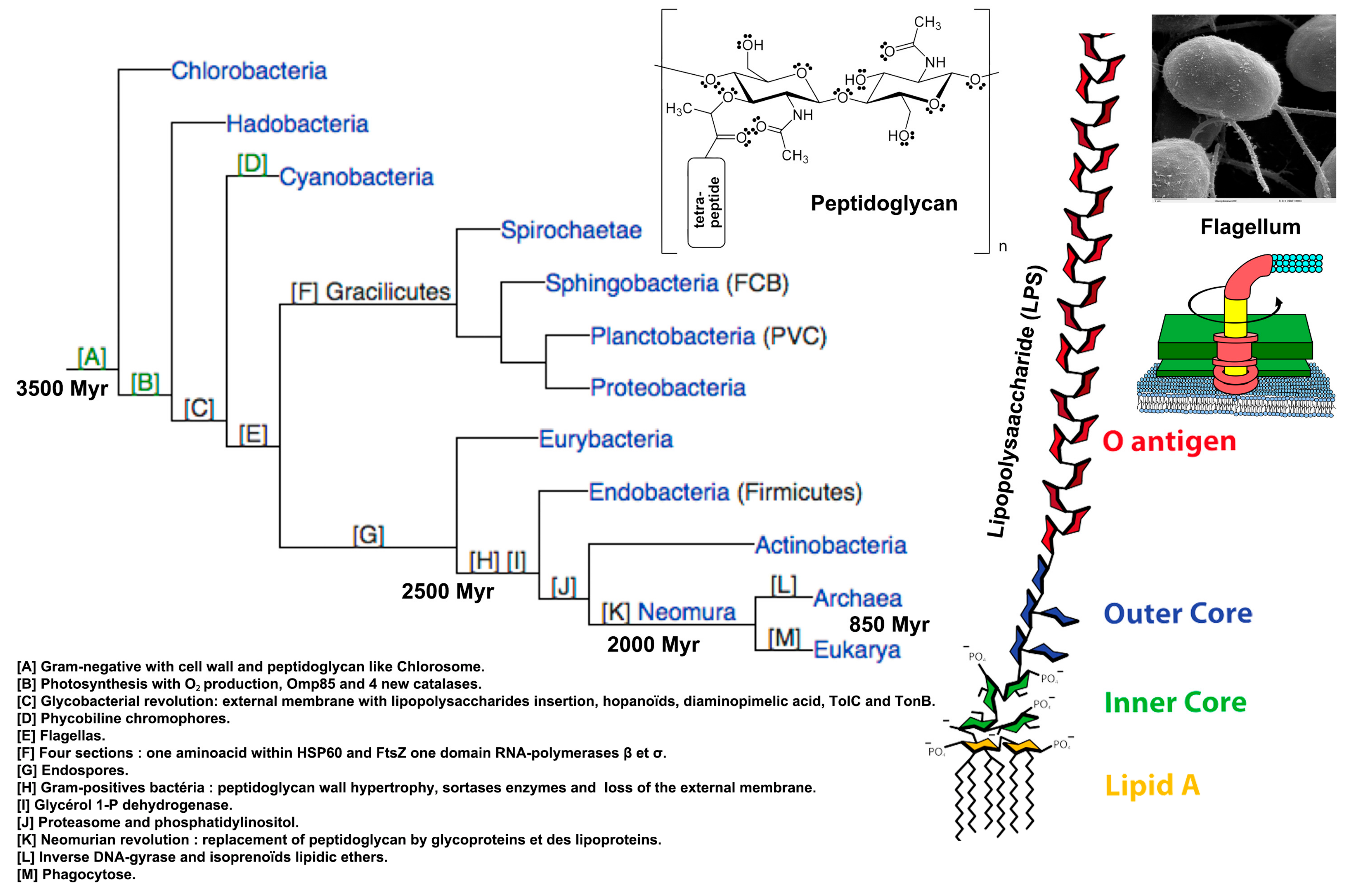 Water 16 02854 g023 Water 16 02854 g023
