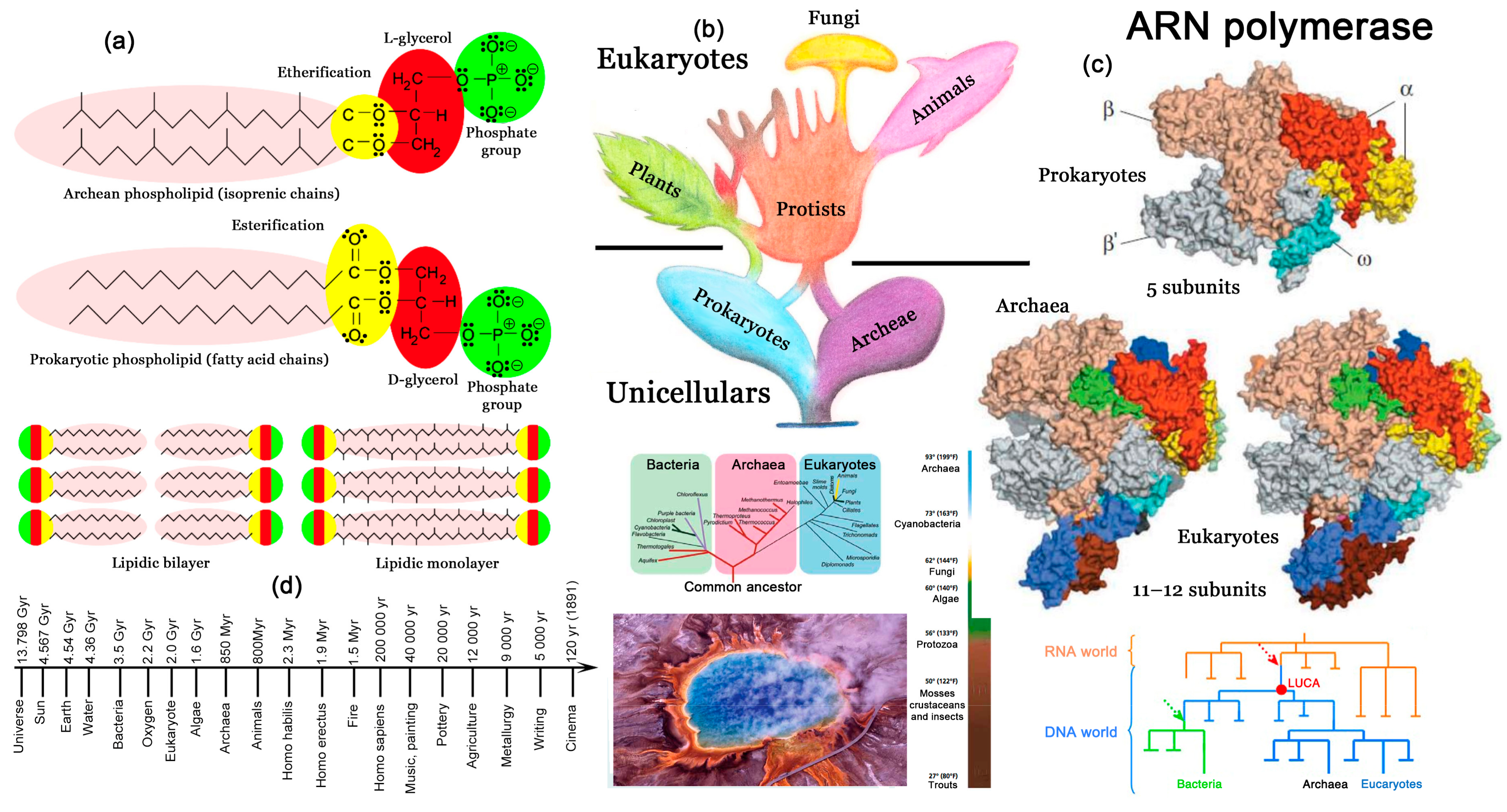 Water 16 02854 g024 Water 16 02854 g024