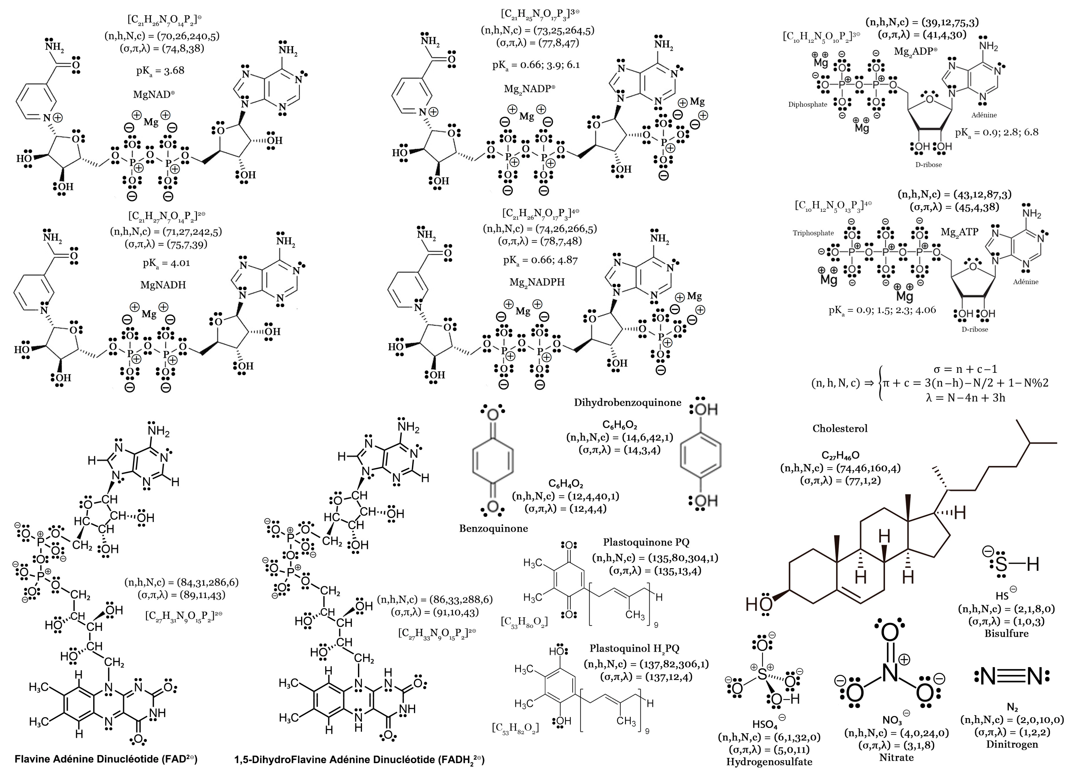 Water 16 02854 g0a1 Water 16 02854 g0a1
